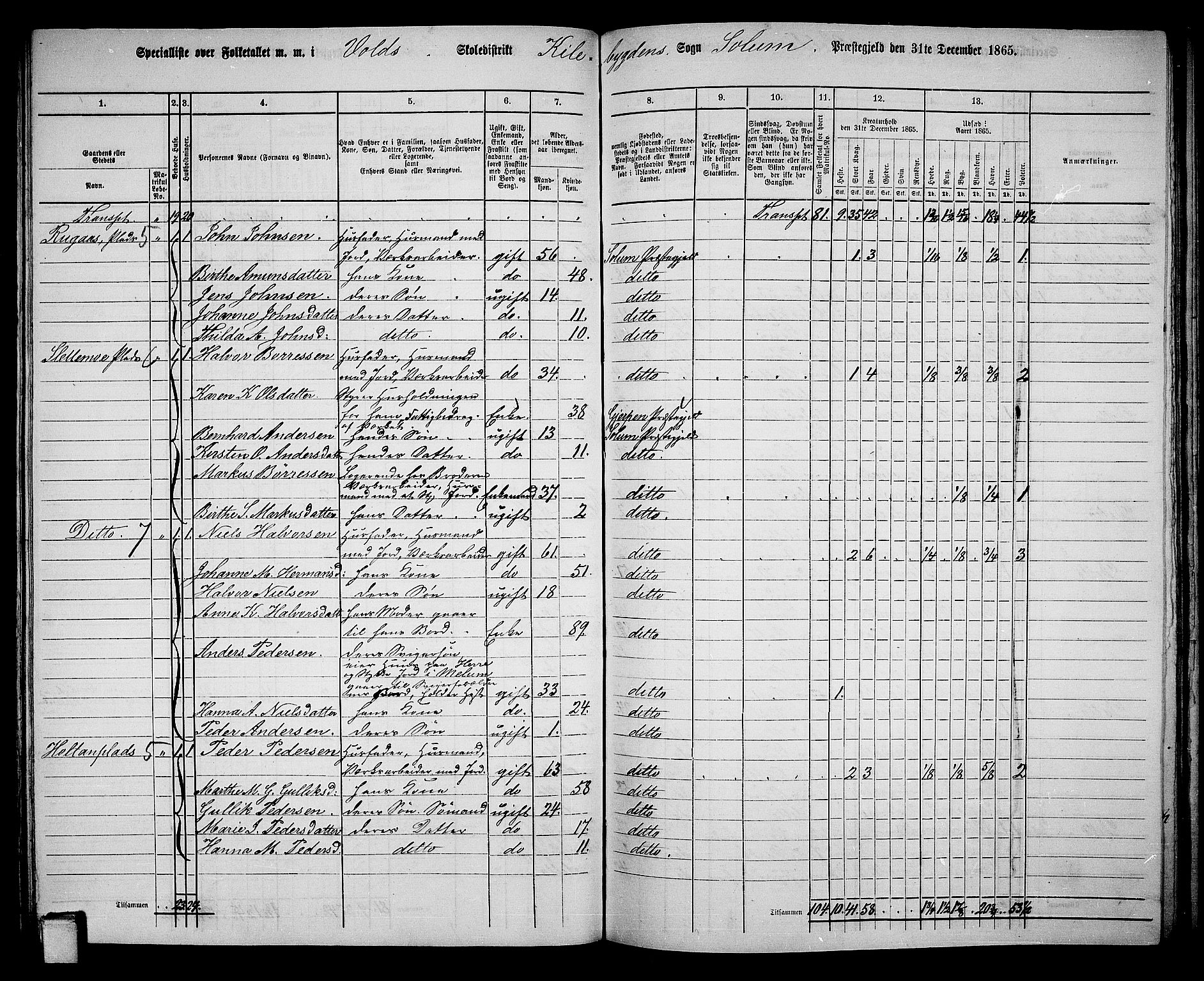 RA, 1865 census for Solum, 1865, p. 132