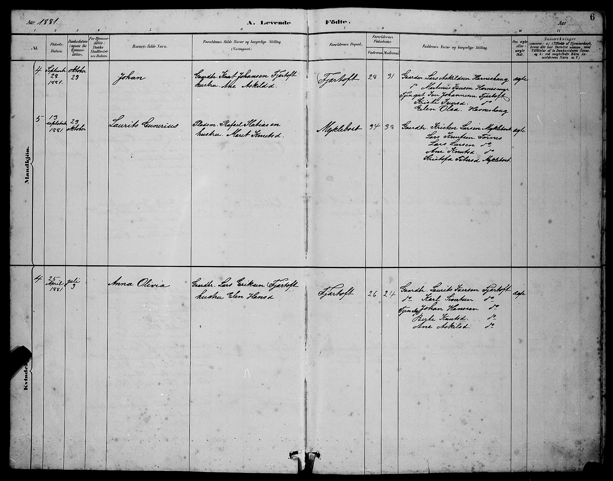 Ministerialprotokoller, klokkerbøker og fødselsregistre - Møre og Romsdal, AV/SAT-A-1454/538/L0523: Parish register (copy) no. 538C01, 1881-1900, p. 6