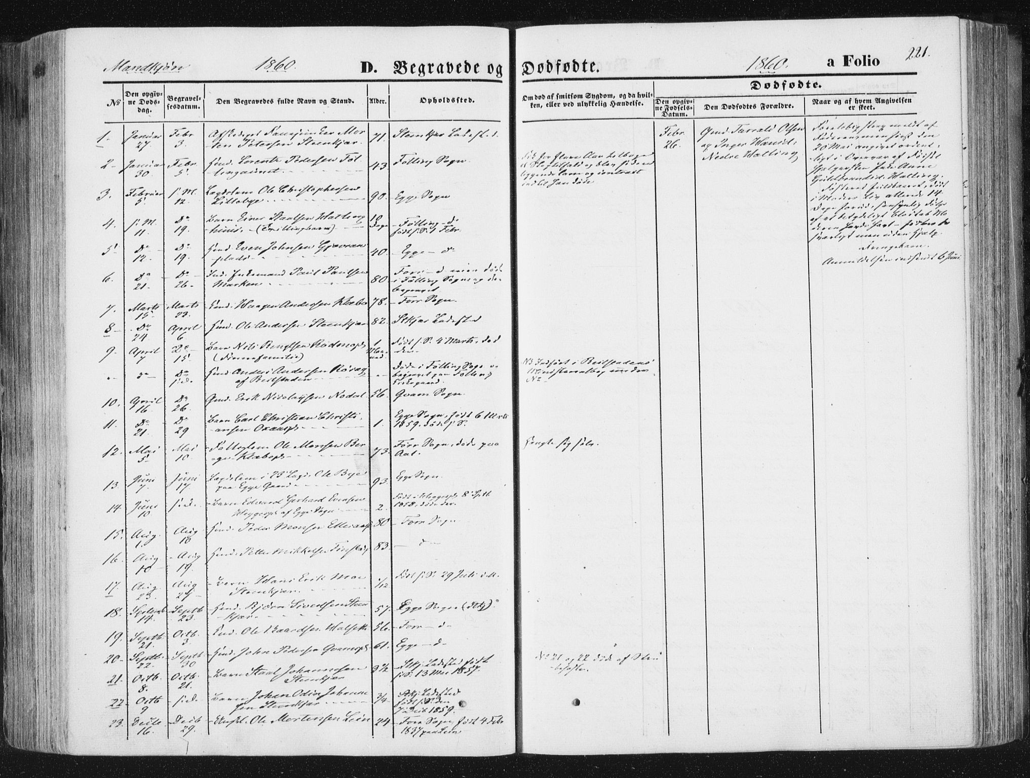 Ministerialprotokoller, klokkerbøker og fødselsregistre - Nord-Trøndelag, SAT/A-1458/746/L0447: Parish register (official) no. 746A06, 1860-1877, p. 221
