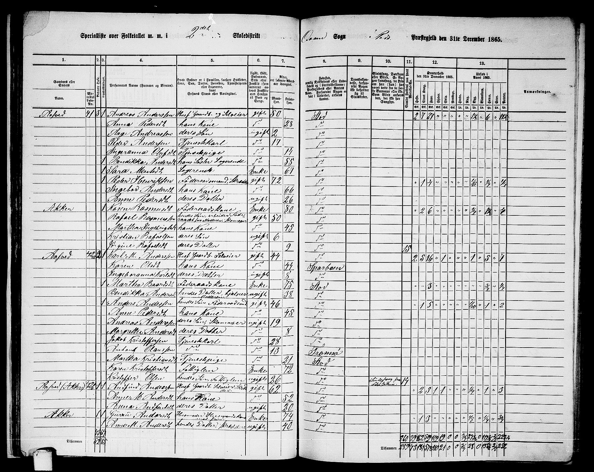 RA, 1865 census for Stod, 1865, p. 34