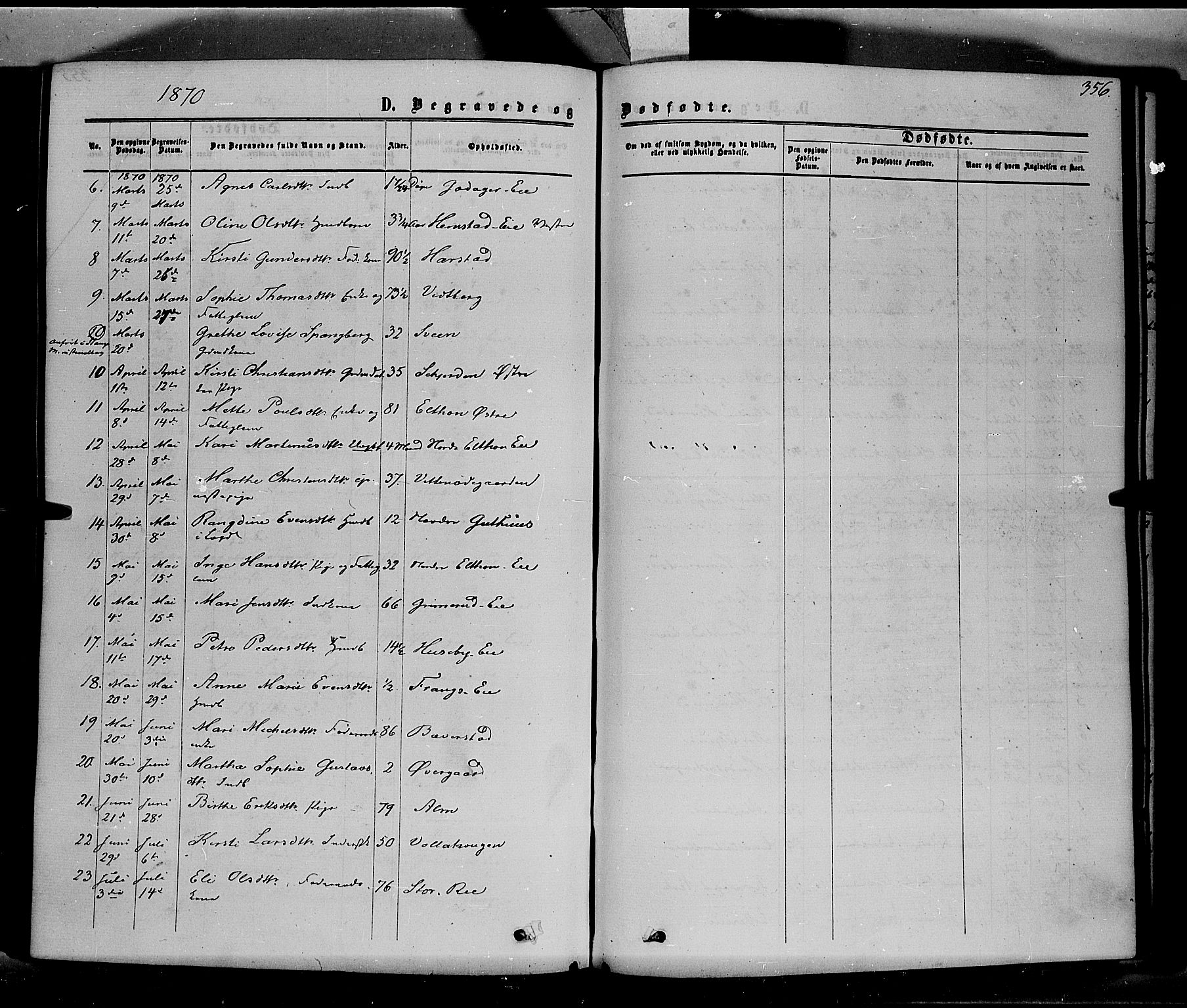 Stange prestekontor, SAH/PREST-002/K/L0013: Parish register (official) no. 13, 1862-1879, p. 356