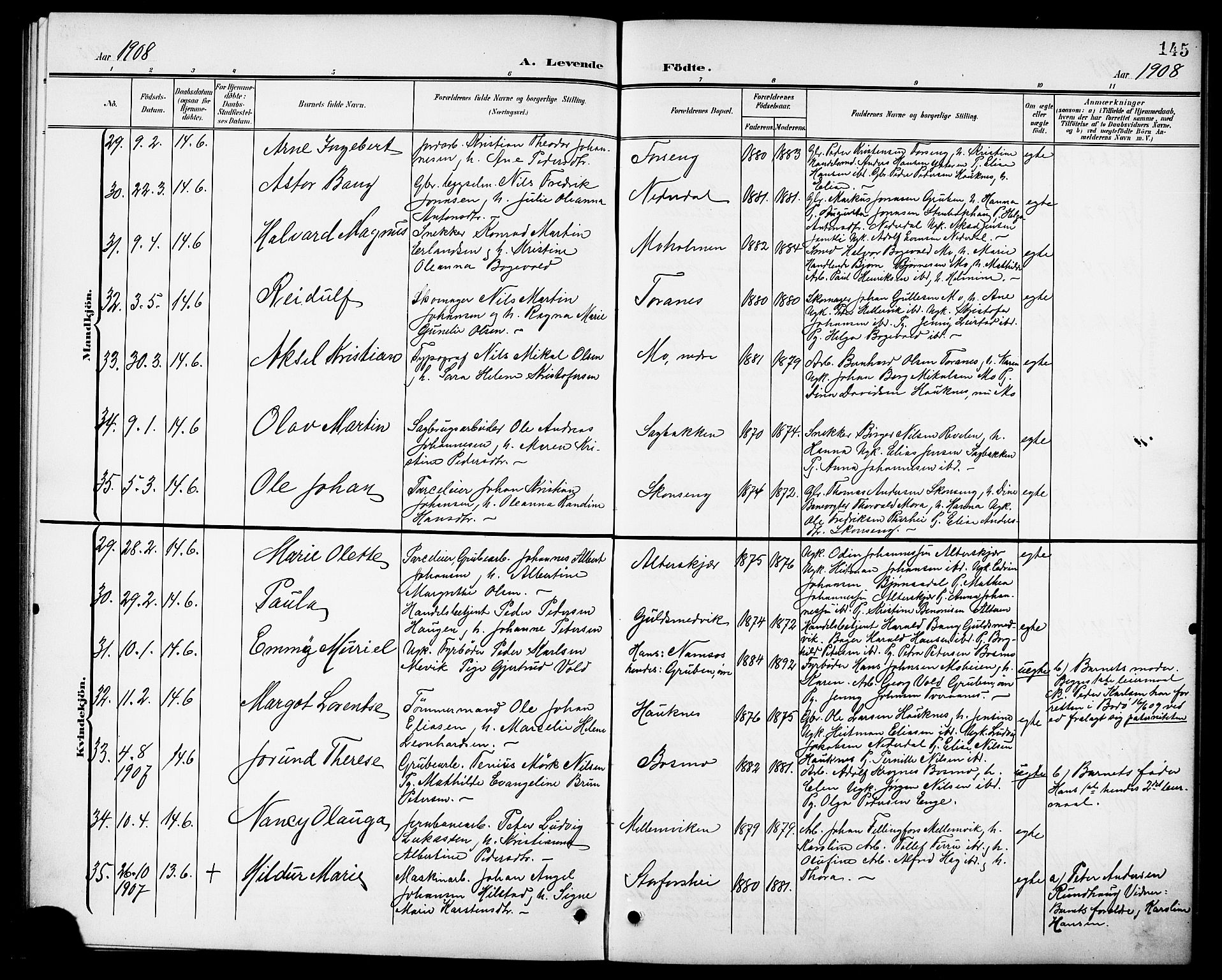 Ministerialprotokoller, klokkerbøker og fødselsregistre - Nordland, AV/SAT-A-1459/827/L0422: Parish register (copy) no. 827C11, 1899-1912, p. 145