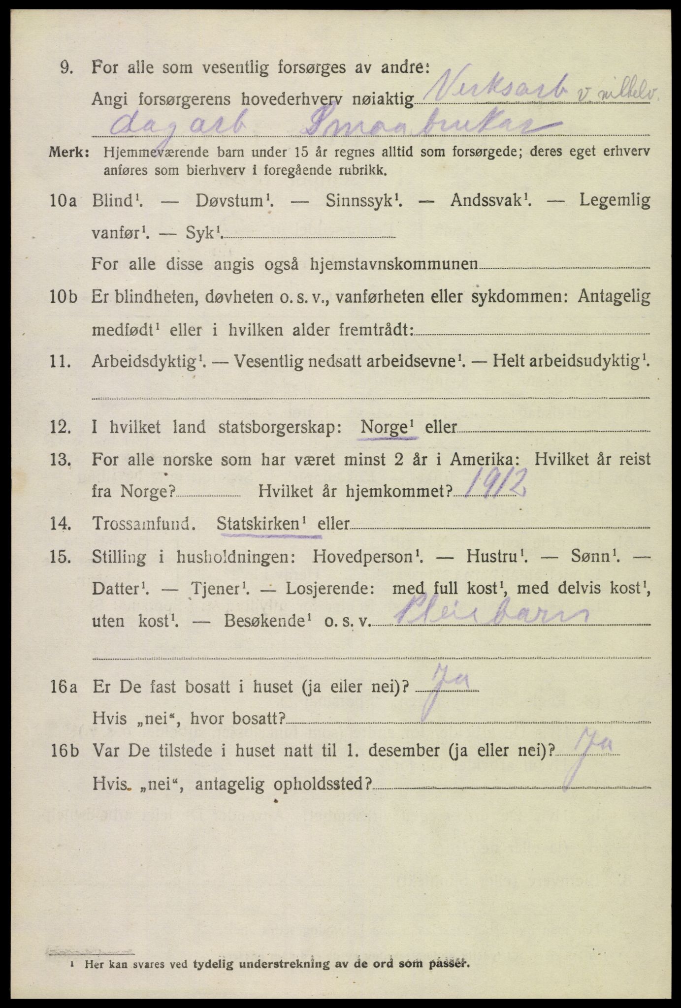 SAK, 1920 census for Hornnes, 1920, p. 918