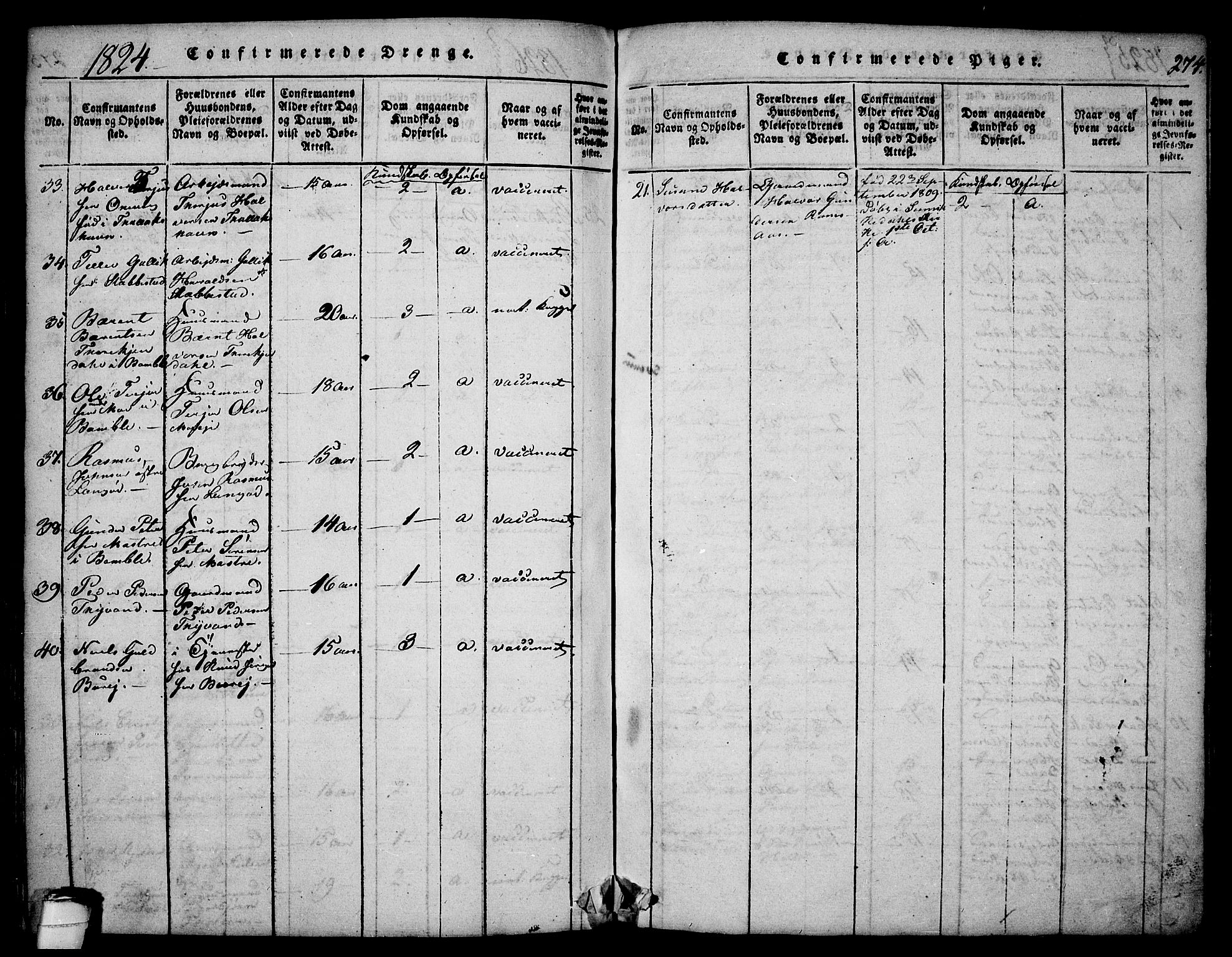 Sannidal kirkebøker, AV/SAKO-A-296/F/Fa/L0004: Parish register (official) no. 4, 1814-1829, p. 274