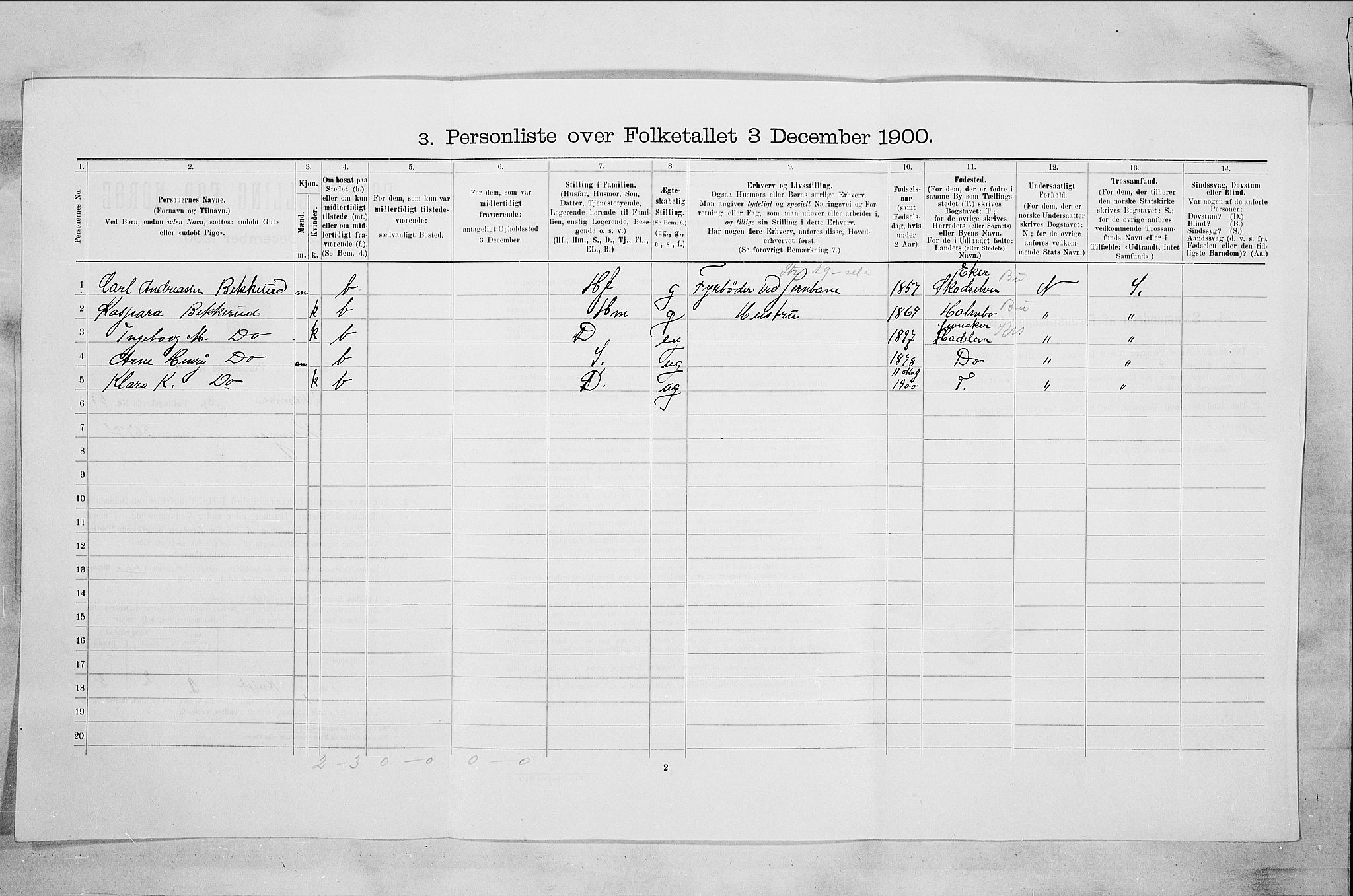 RA, 1900 census for Drammen, 1900, p. 9113