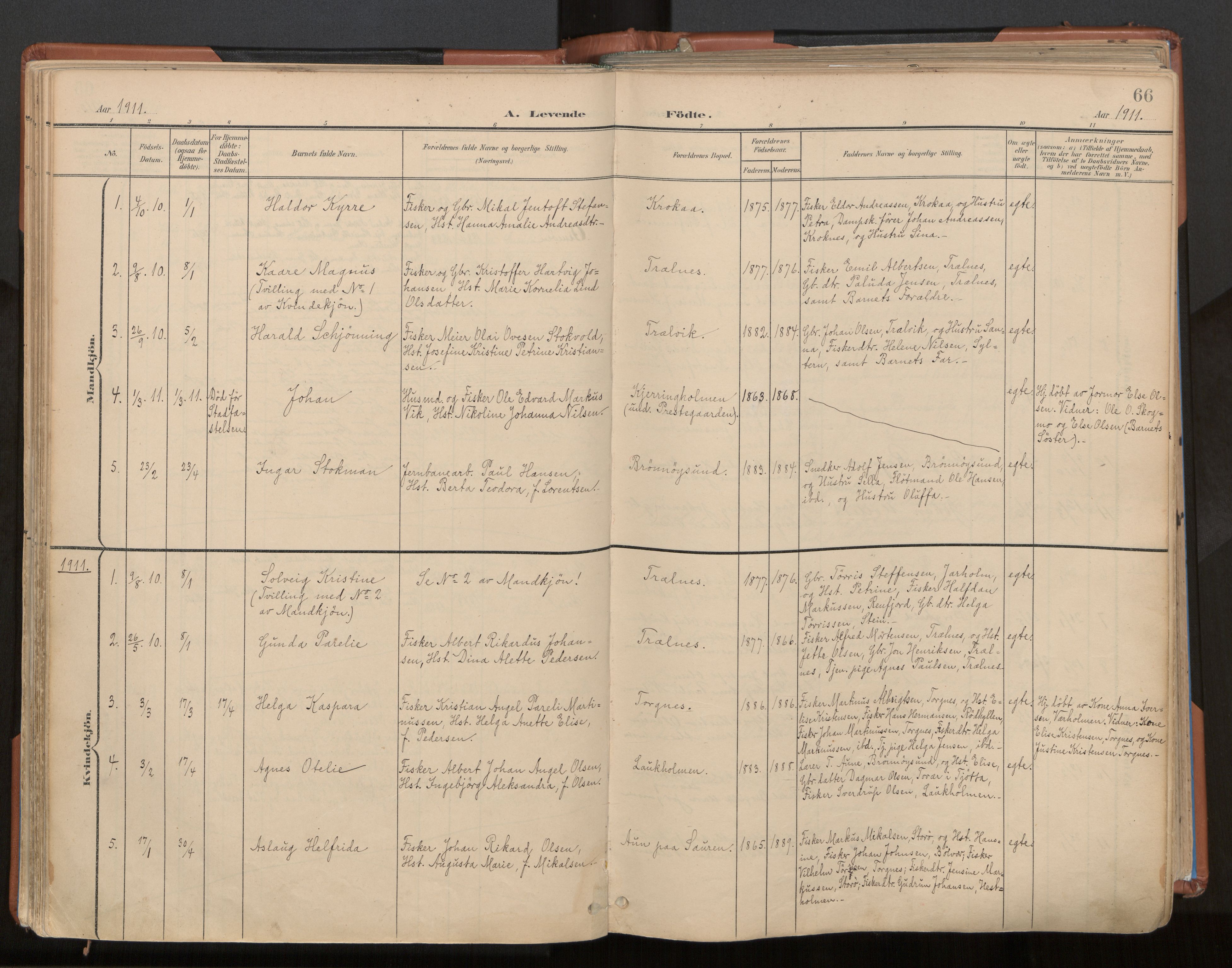 Ministerialprotokoller, klokkerbøker og fødselsregistre - Nordland, AV/SAT-A-1459/813/L0201: Parish register (official) no. 813A11, 1901-1918, p. 66