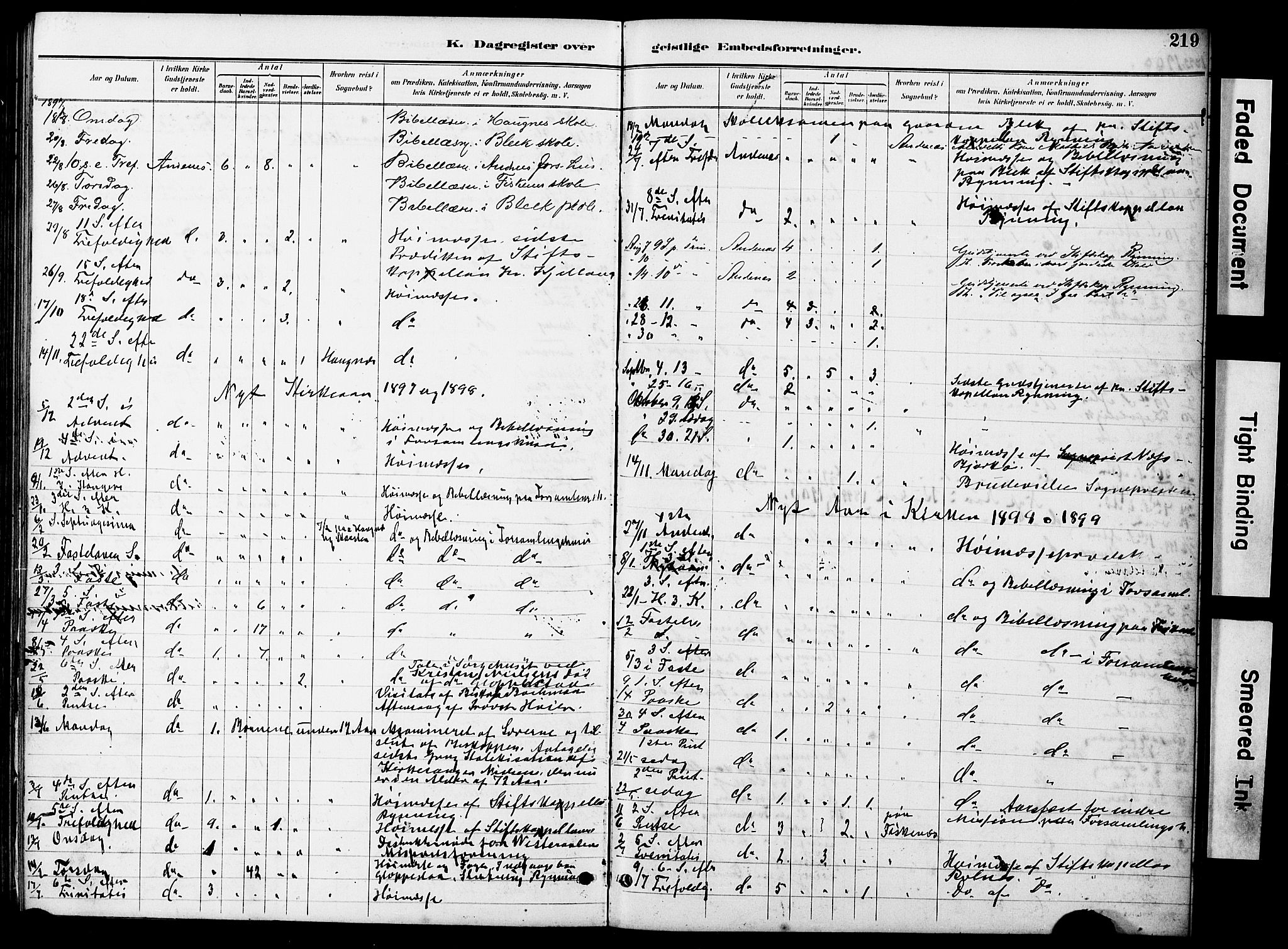 Ministerialprotokoller, klokkerbøker og fødselsregistre - Nordland, AV/SAT-A-1459/899/L1448: Parish register (copy) no. 899C03, 1887-1902, p. 219