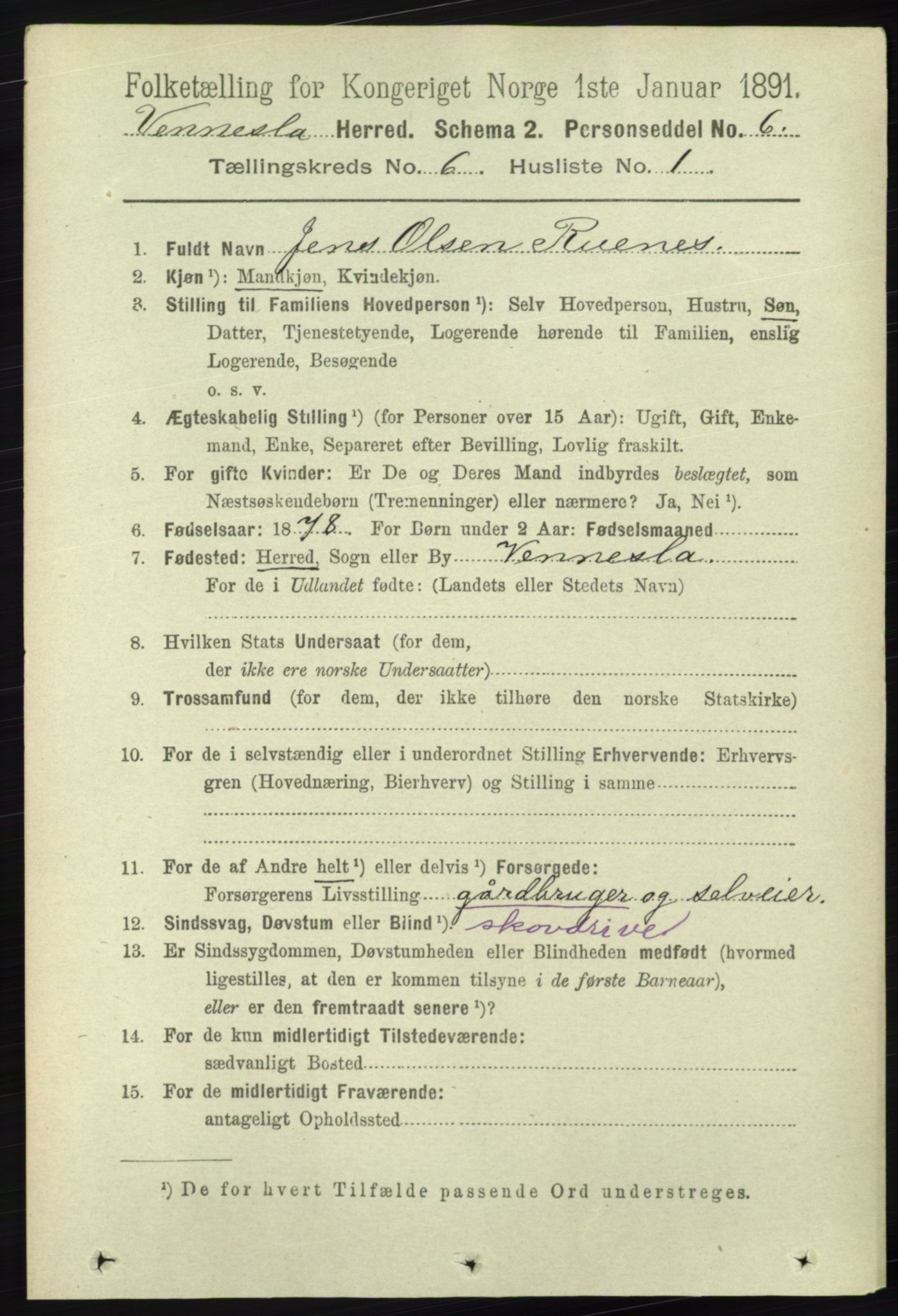 RA, 1891 census for 1014 Vennesla, 1891, p. 1598