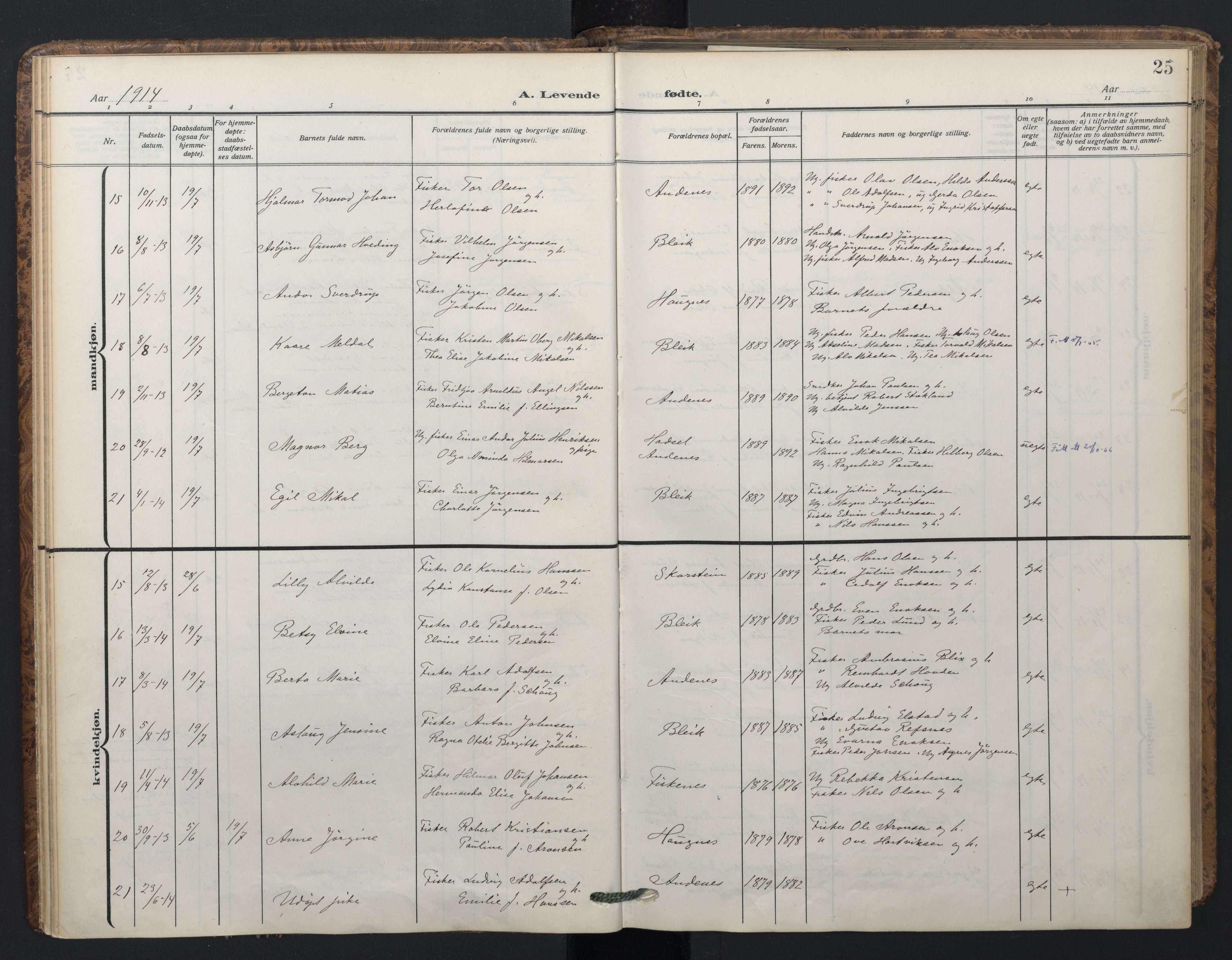 Ministerialprotokoller, klokkerbøker og fødselsregistre - Nordland, SAT/A-1459/899/L1438: Parish register (official) no. 899A06, 1909-1922, p. 25