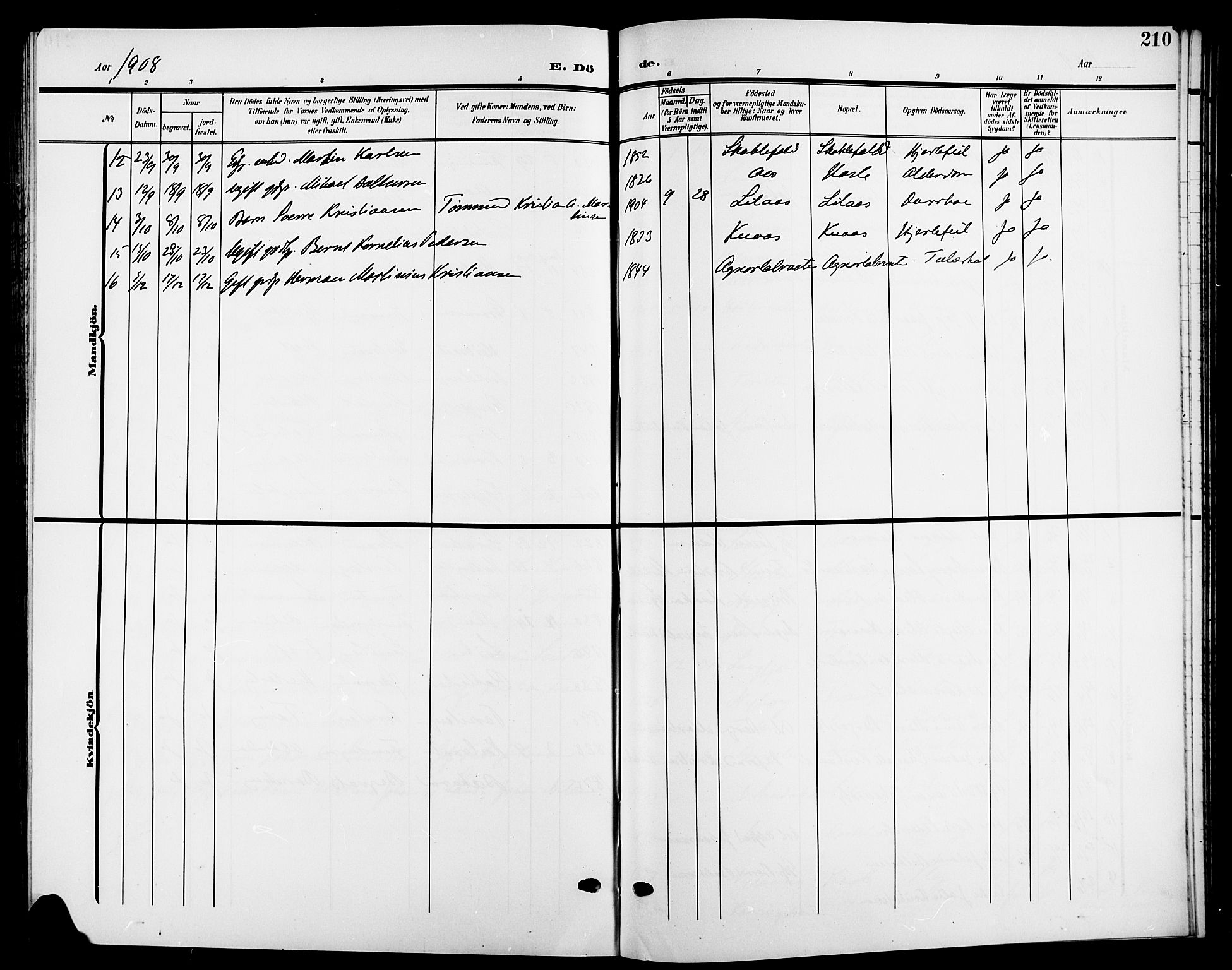 Nesodden prestekontor Kirkebøker, AV/SAO-A-10013/G/Ga/L0002: Parish register (copy) no. I 2, 1905-1924, p. 210