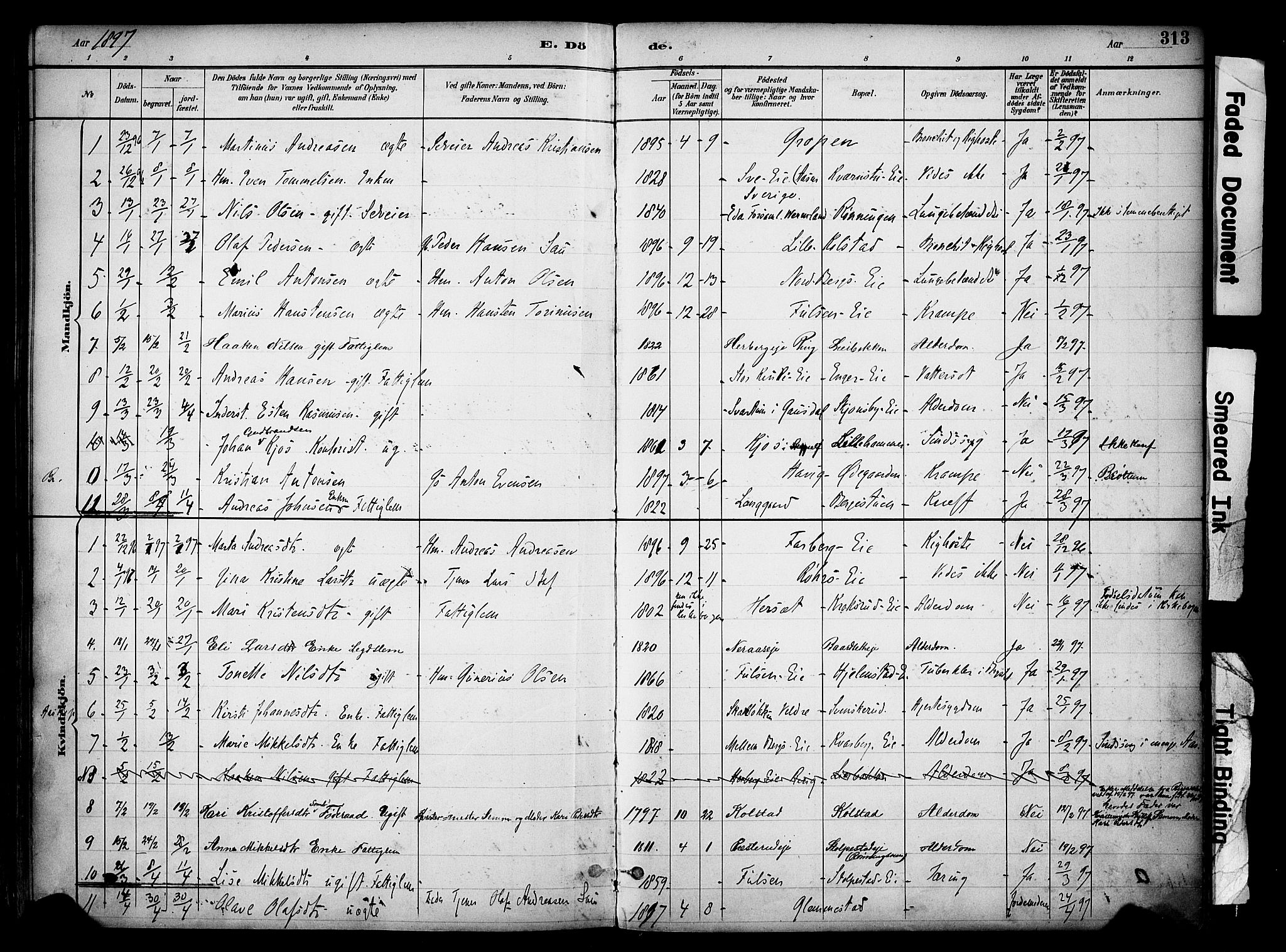 Ringsaker prestekontor, AV/SAH-PREST-014/K/Ka/L0017: Parish register (official) no. 17, 1891-1902, p. 313