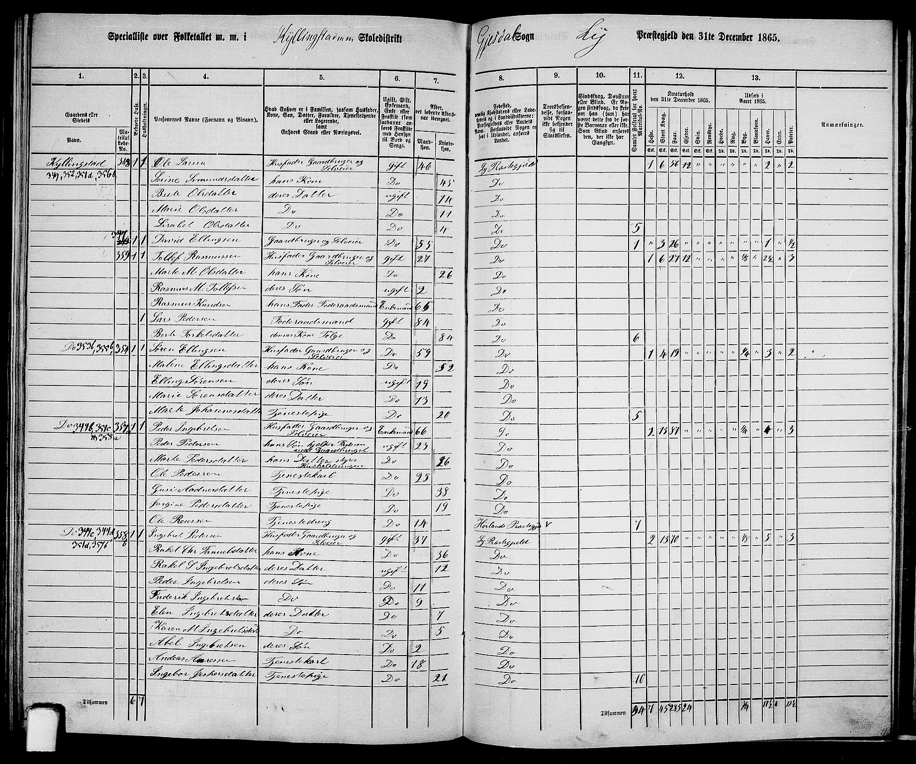 RA, 1865 census for Lye, 1865, p. 140