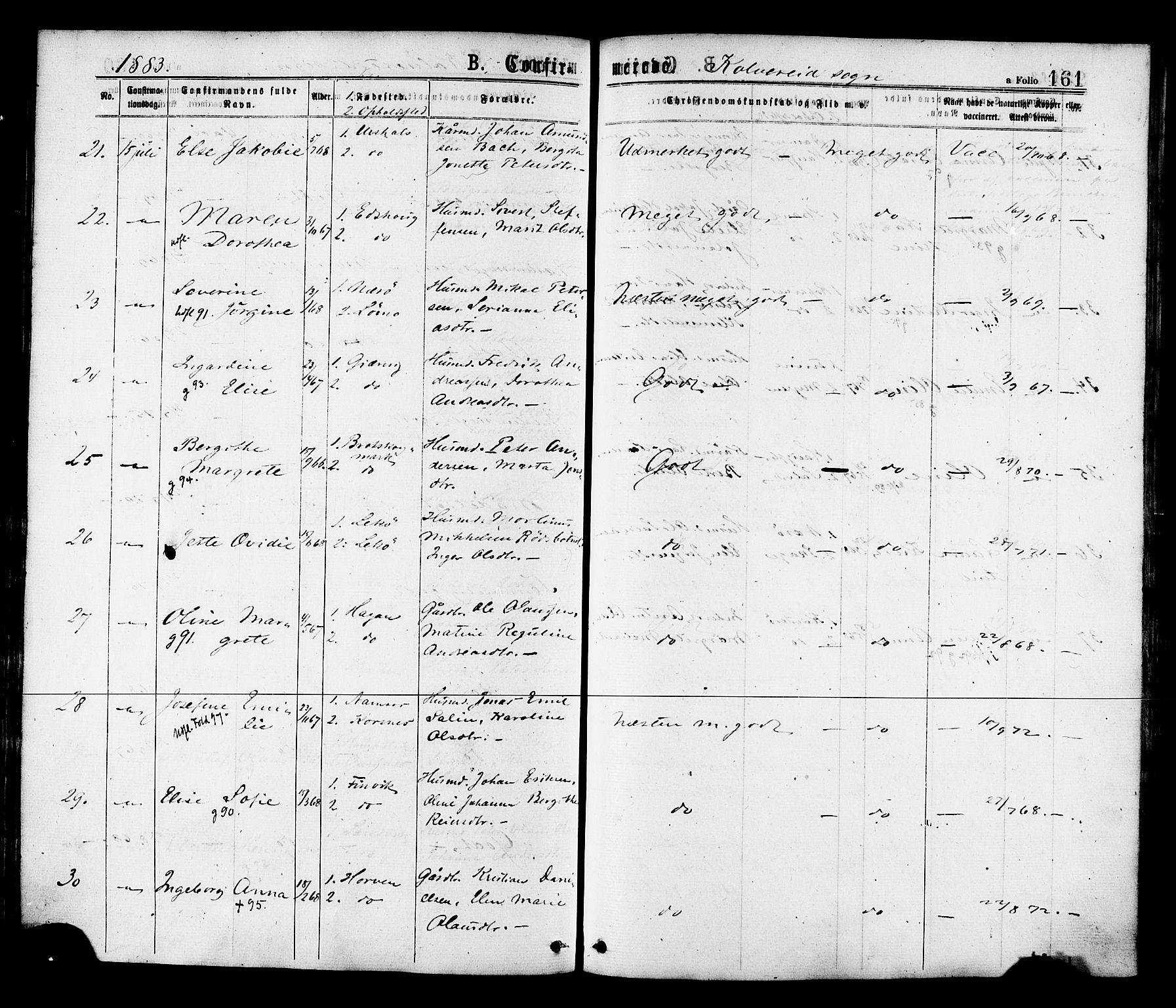 Ministerialprotokoller, klokkerbøker og fødselsregistre - Nord-Trøndelag, AV/SAT-A-1458/780/L0642: Parish register (official) no. 780A07 /1, 1874-1885, p. 161