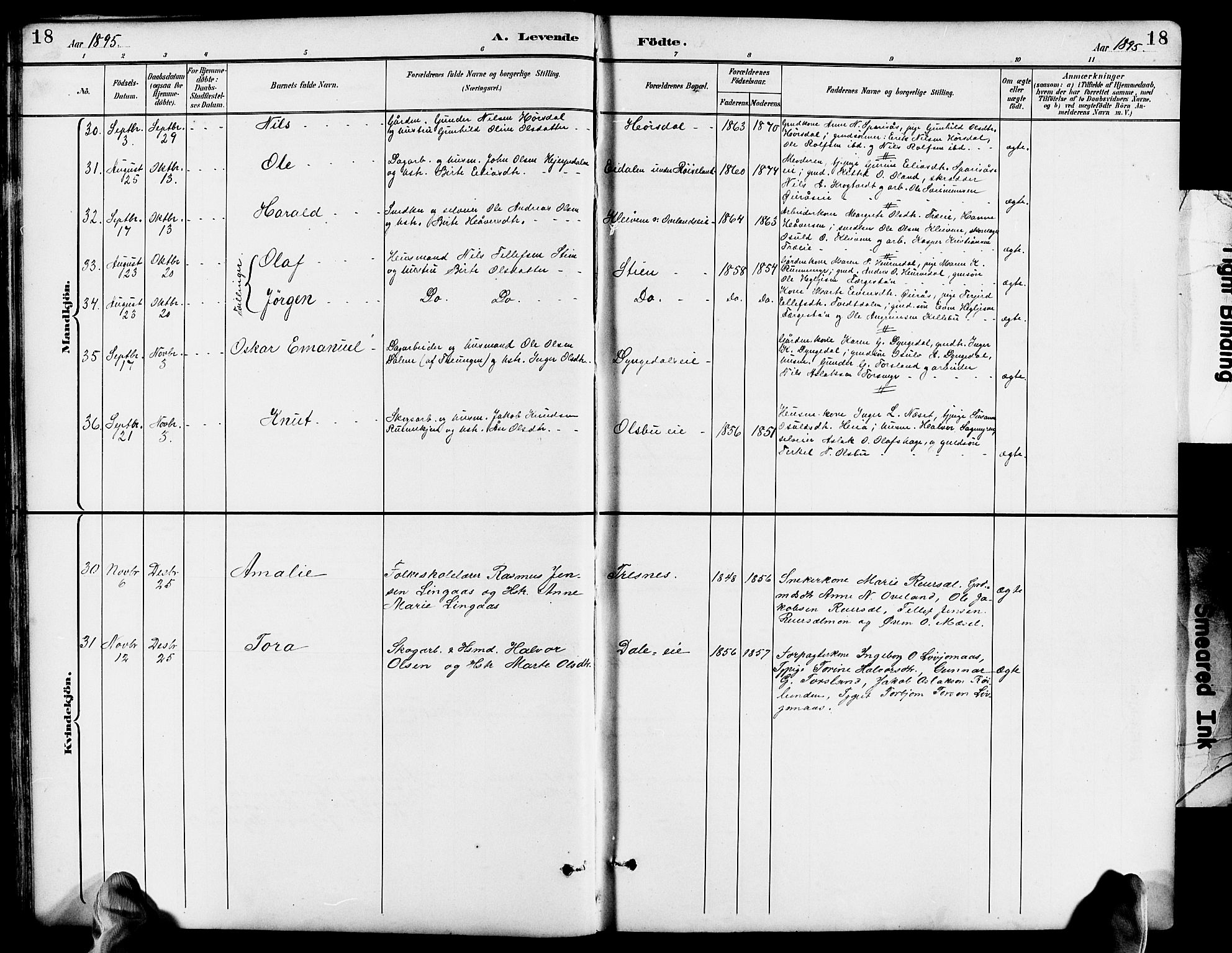 Froland sokneprestkontor, AV/SAK-1111-0013/F/Fb/L0010: Parish register (copy) no. B 10, 1893-1920, p. 18