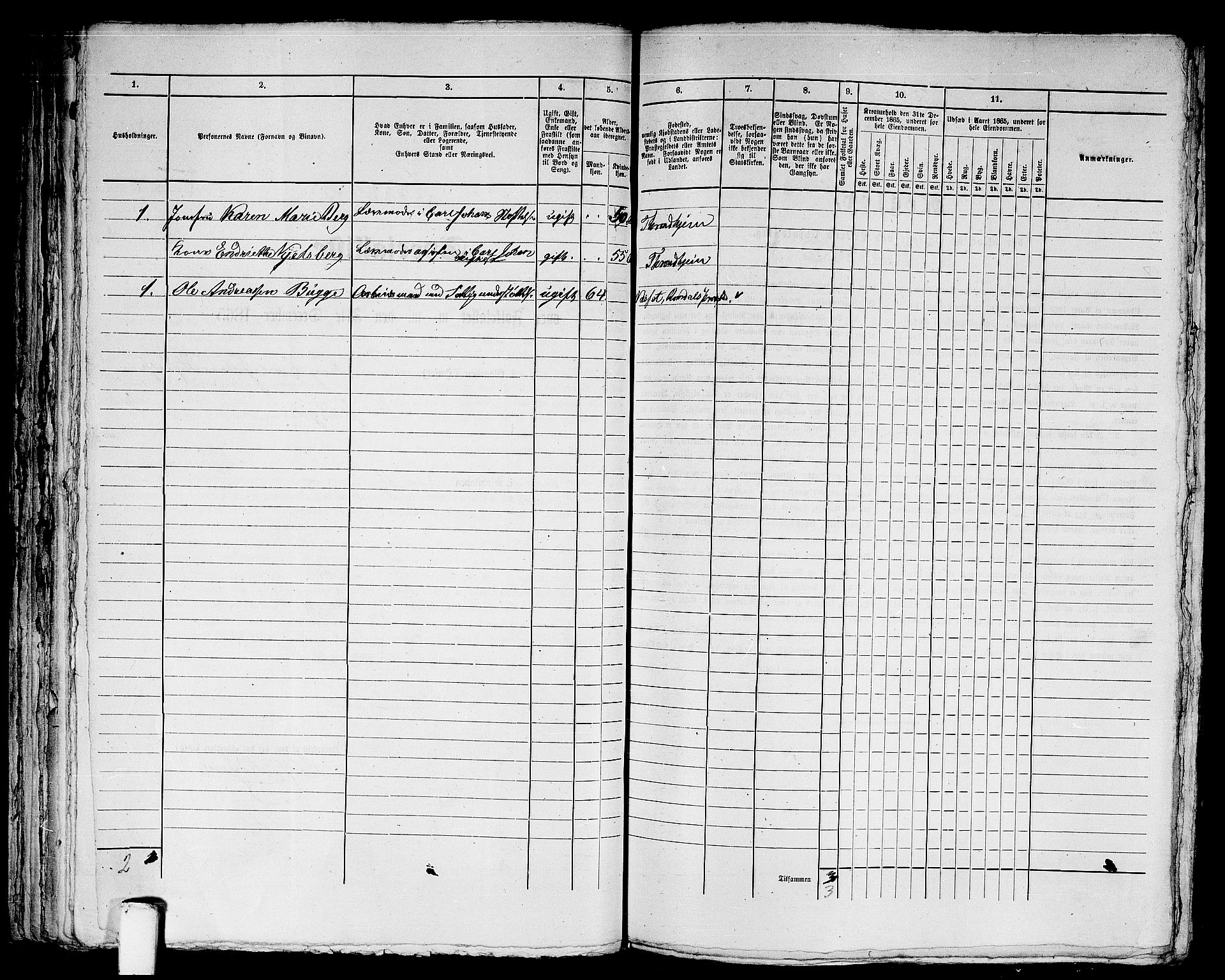 RA, 1865 census for Trondheim, 1865, p. 1651