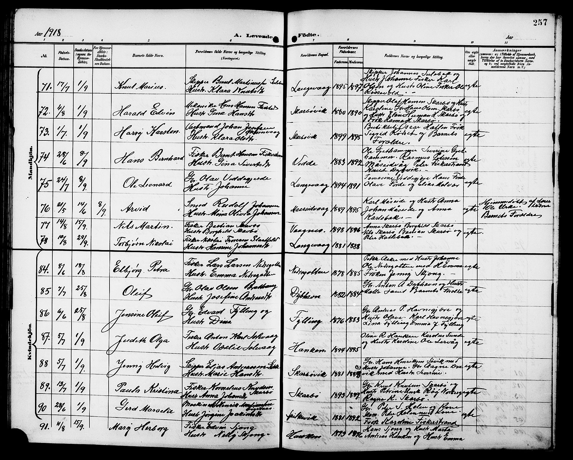 Ministerialprotokoller, klokkerbøker og fødselsregistre - Møre og Romsdal, AV/SAT-A-1454/528/L0432: Parish register (copy) no. 528C13, 1898-1918, p. 257