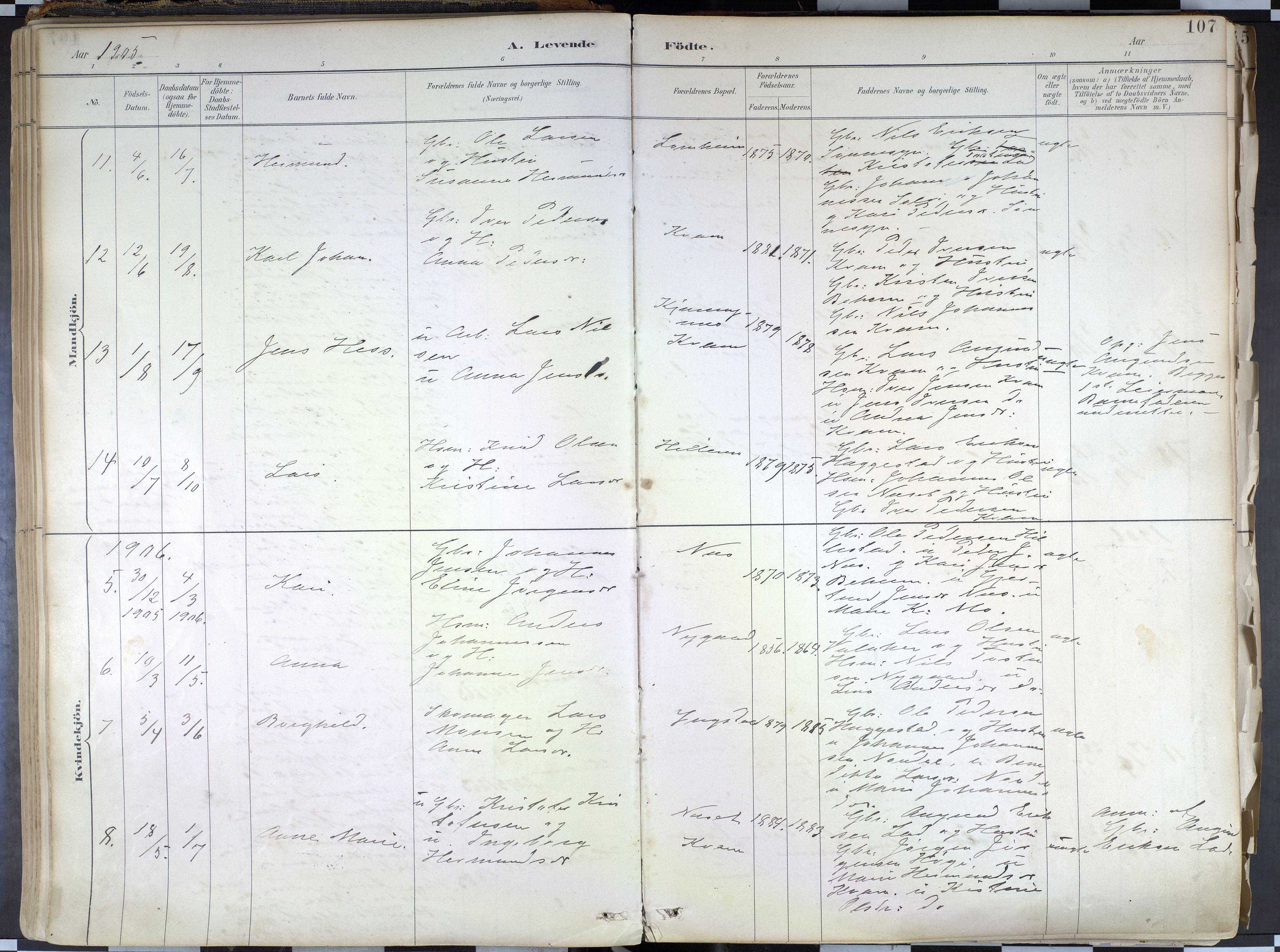 Hafslo sokneprestembete, AV/SAB-A-80301/H/Haa/Haab/L0001: Parish register (official) no. B 1, 1886-1945, p. 107