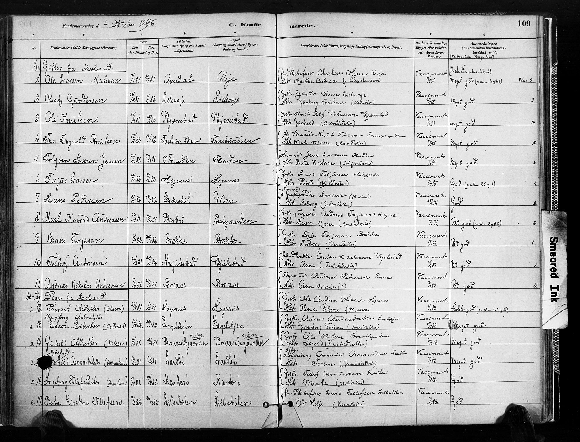Austre Moland sokneprestkontor, SAK/1111-0001/F/Fa/Faa/L0010: Parish register (official) no. A 10, 1880-1904, p. 109