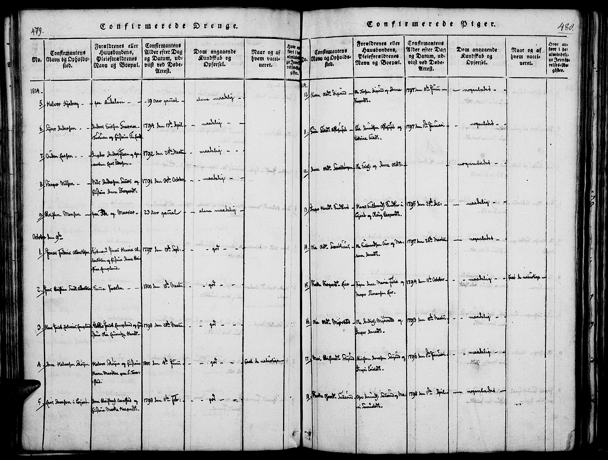 Vinger prestekontor, AV/SAH-PREST-024/H/Ha/Haa/L0006: Parish register (official) no. 6, 1814-1825, p. 479-480