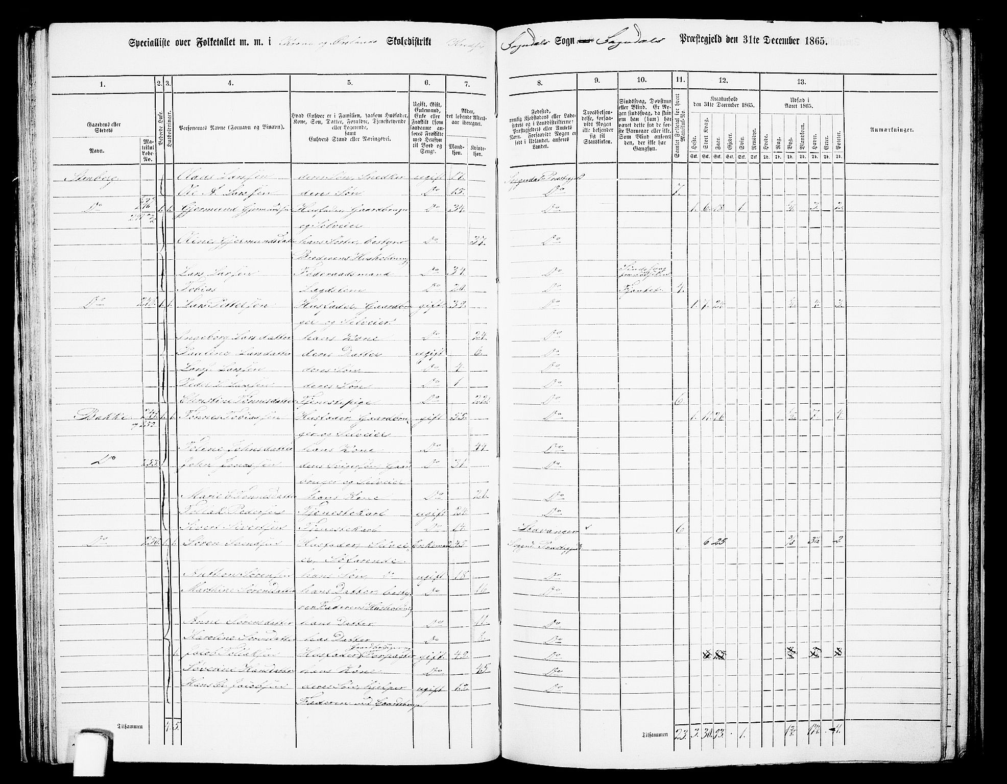 RA, 1865 census for Sokndal, 1865, p. 51