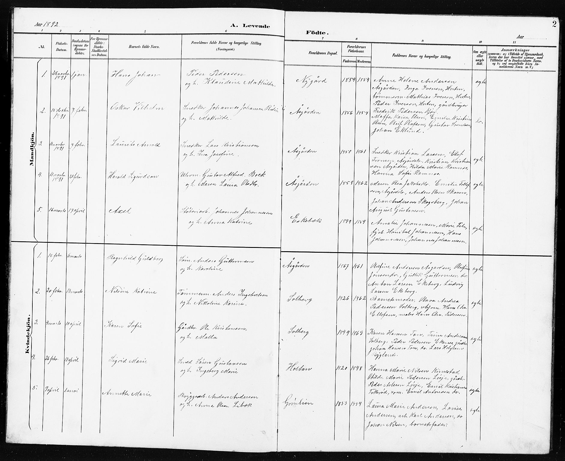 Borre kirkebøker, AV/SAKO-A-338/G/Ga/L0004: Parish register (copy) no. I 4, 1892-1913, p. 2