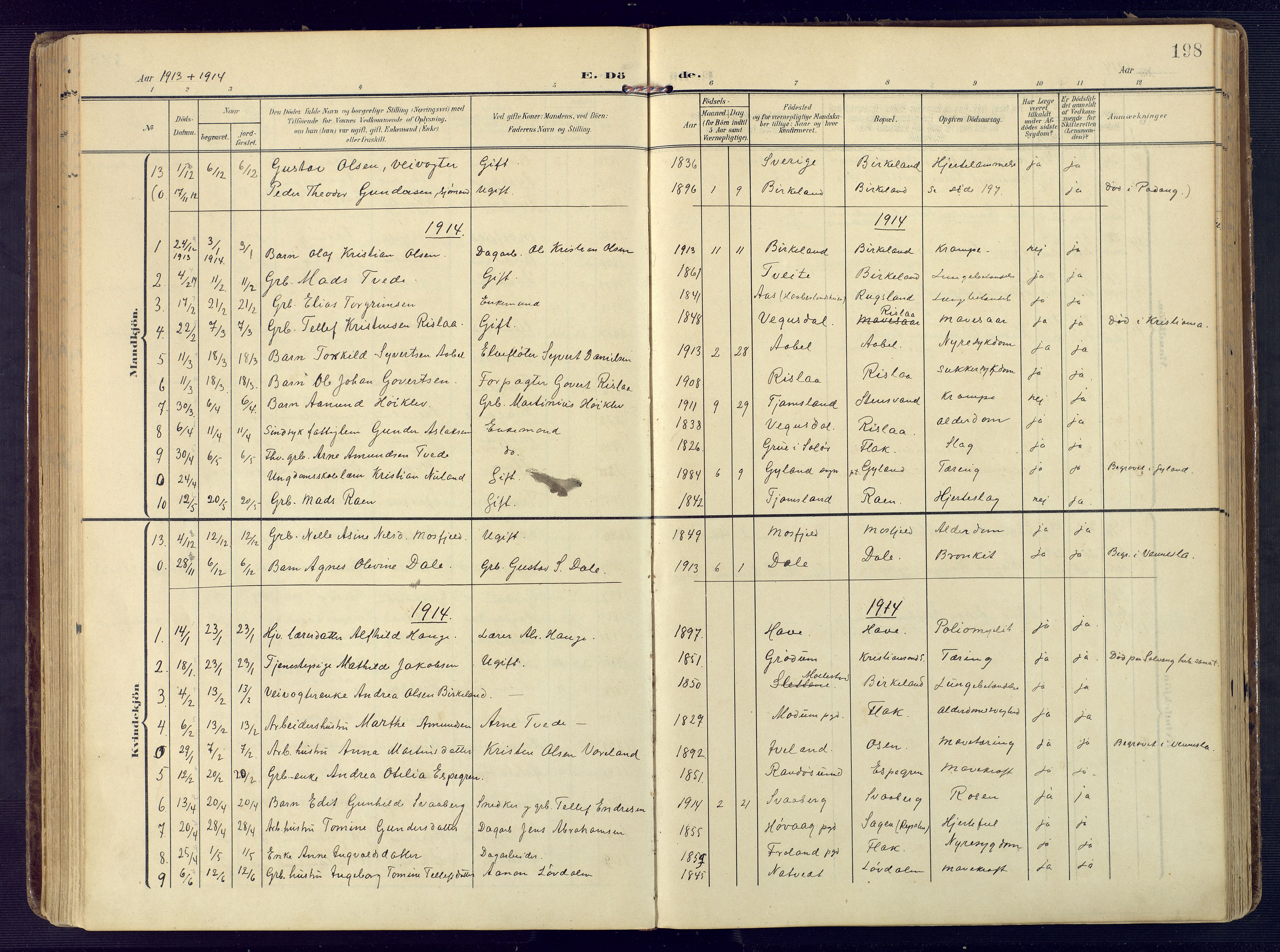 Birkenes sokneprestkontor, SAK/1111-0004/F/Fa/L0006: Parish register (official) no. A 6, 1908-1932, p. 198