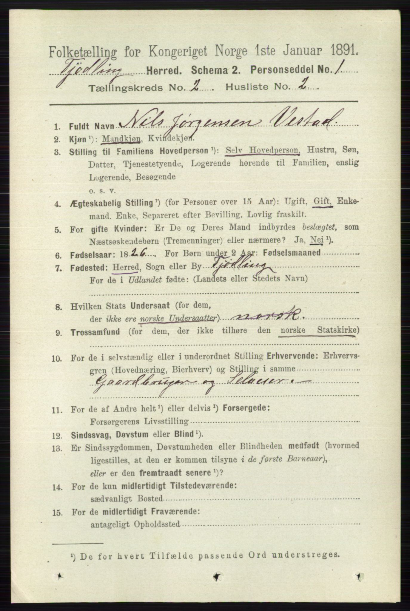 RA, 1891 census for 0725 Tjølling, 1891, p. 507