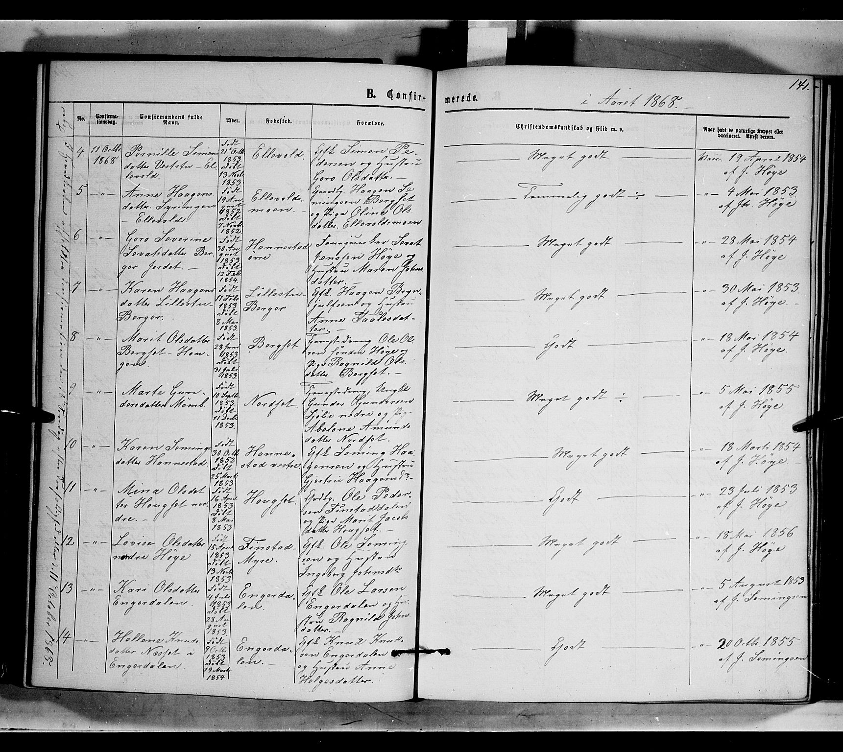 Rendalen prestekontor, AV/SAH-PREST-054/H/Ha/Haa/L0006: Parish register (official) no. 6, 1867-1877, p. 141