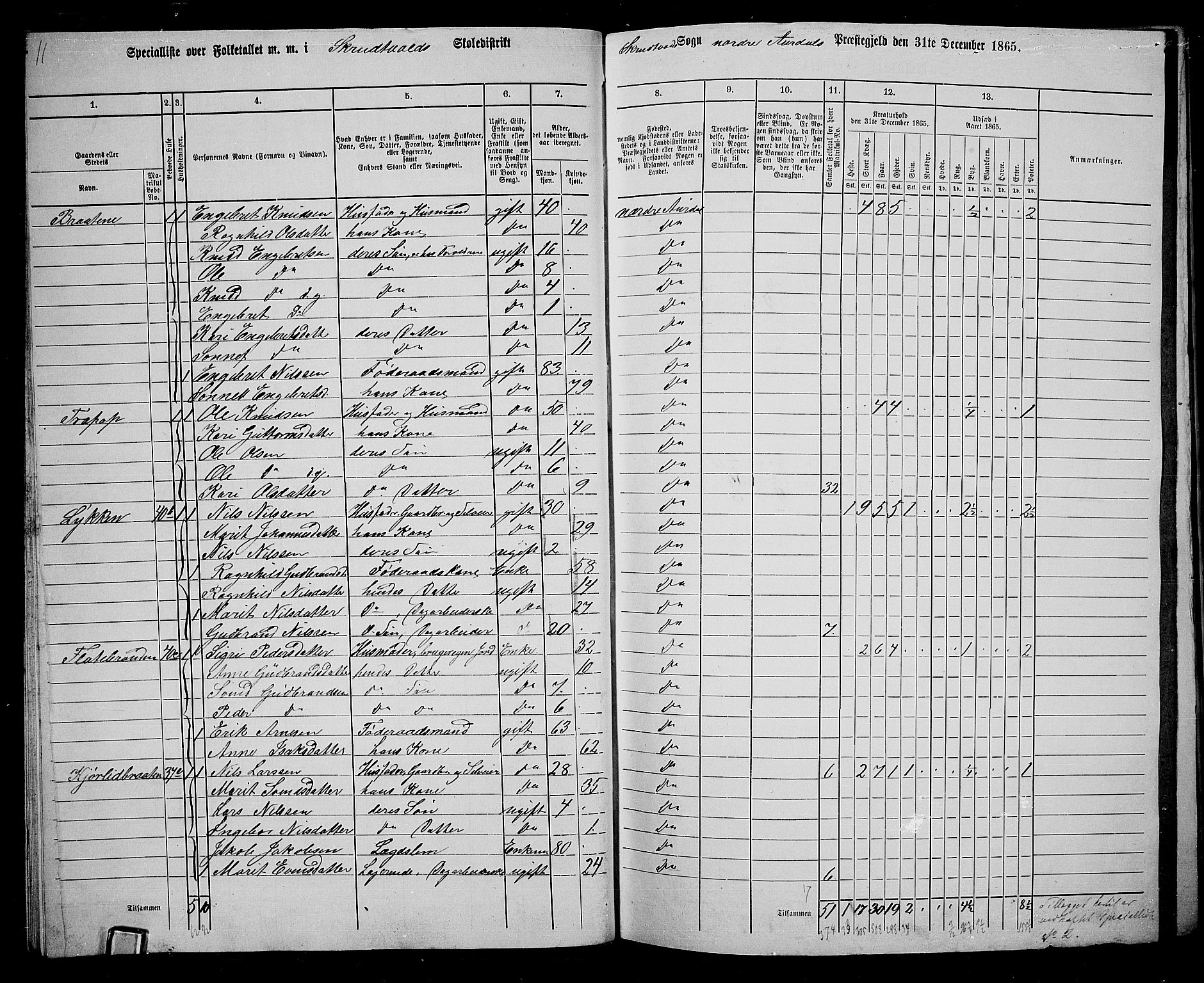 RA, 1865 census for Nord-Aurdal, 1865, p. 36