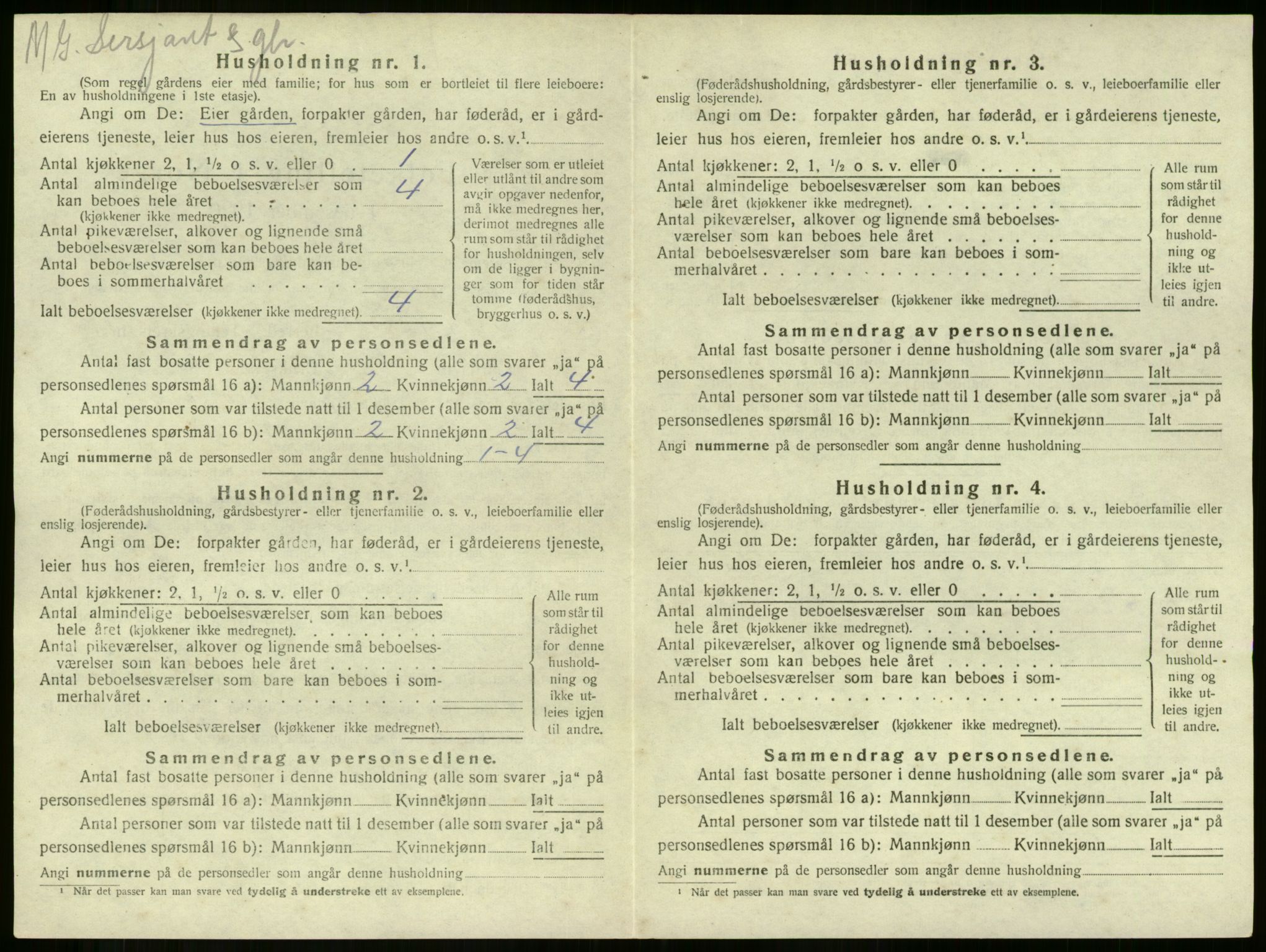 SAKO, 1920 census for Botne, 1920, p. 470