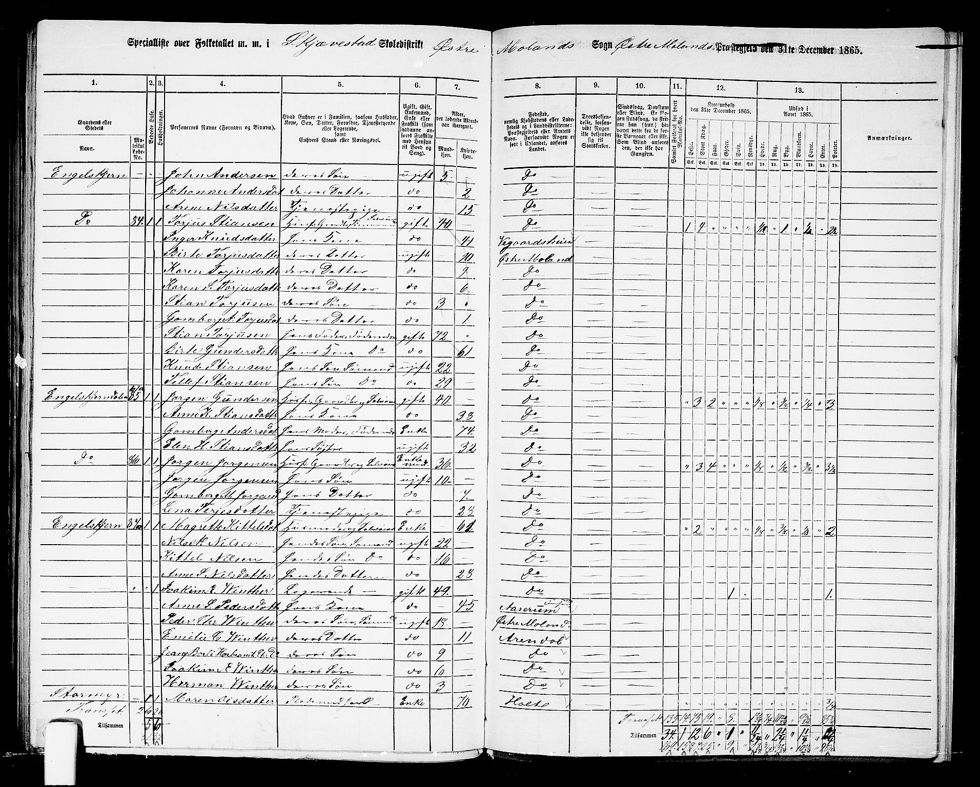 RA, 1865 census for Austre Moland, 1865, p. 313