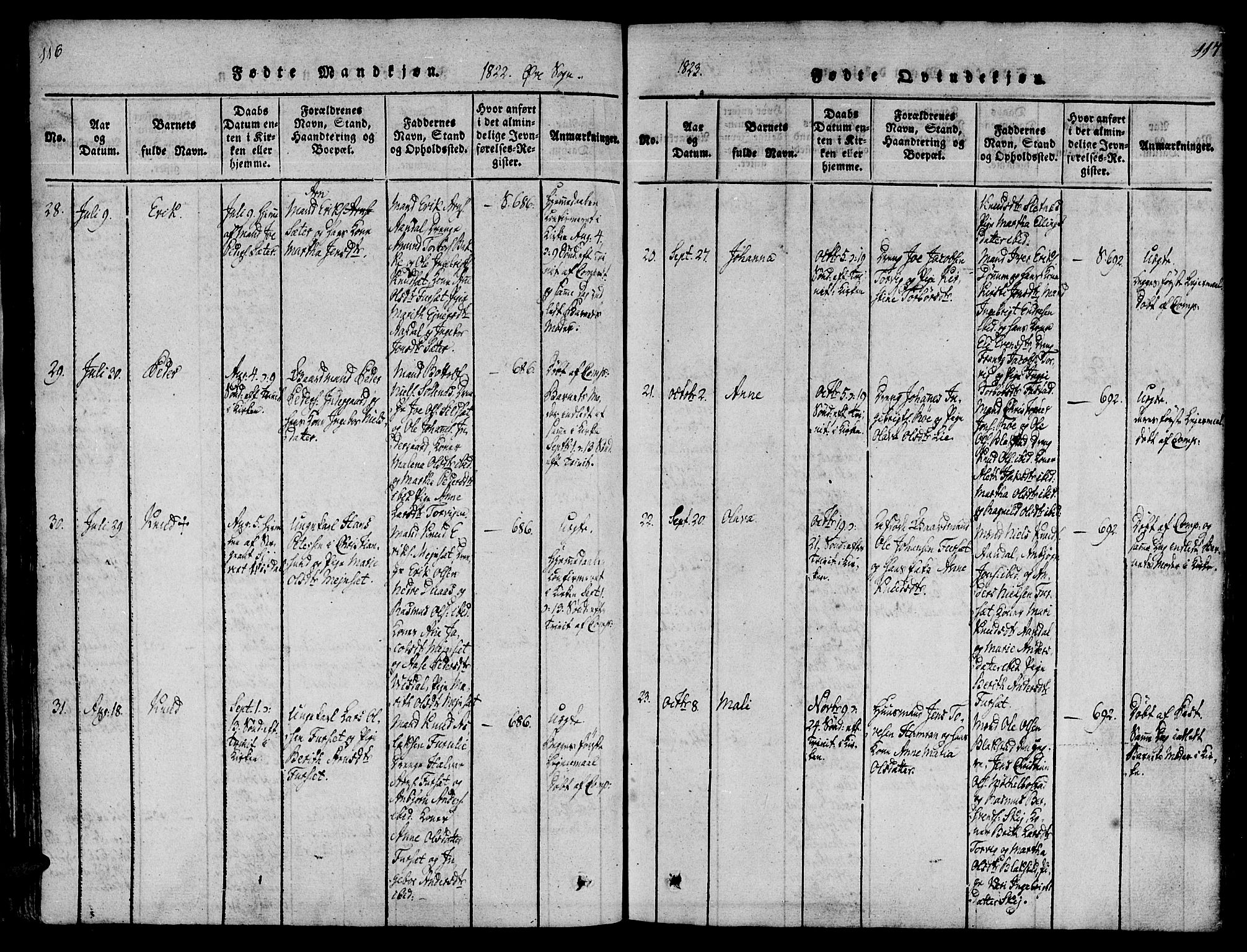 Ministerialprotokoller, klokkerbøker og fødselsregistre - Møre og Romsdal, AV/SAT-A-1454/586/L0982: Parish register (official) no. 586A08, 1819-1829, p. 116-117