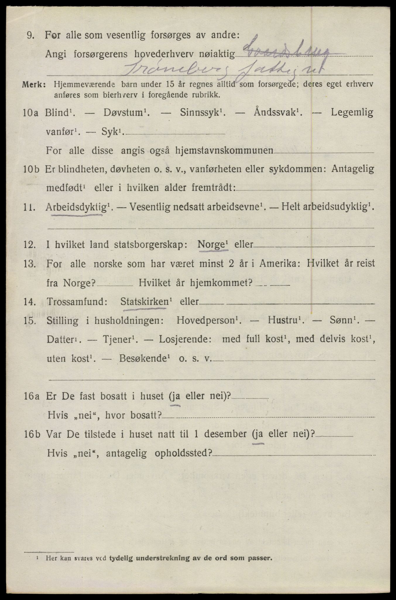 SAO, 1920 census for Skiptvet, 1920, p. 5202