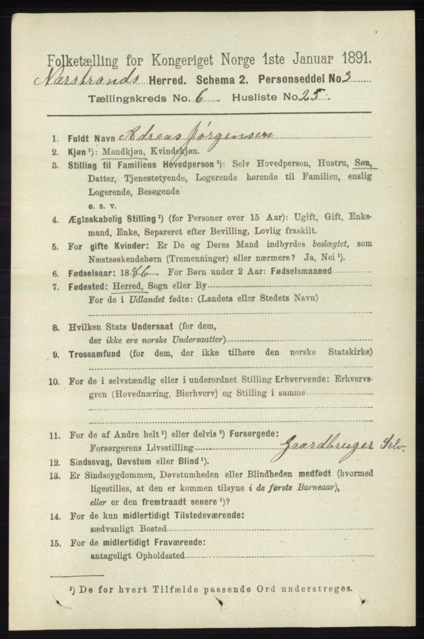 RA, 1891 census for 1139 Nedstrand, 1891, p. 1138