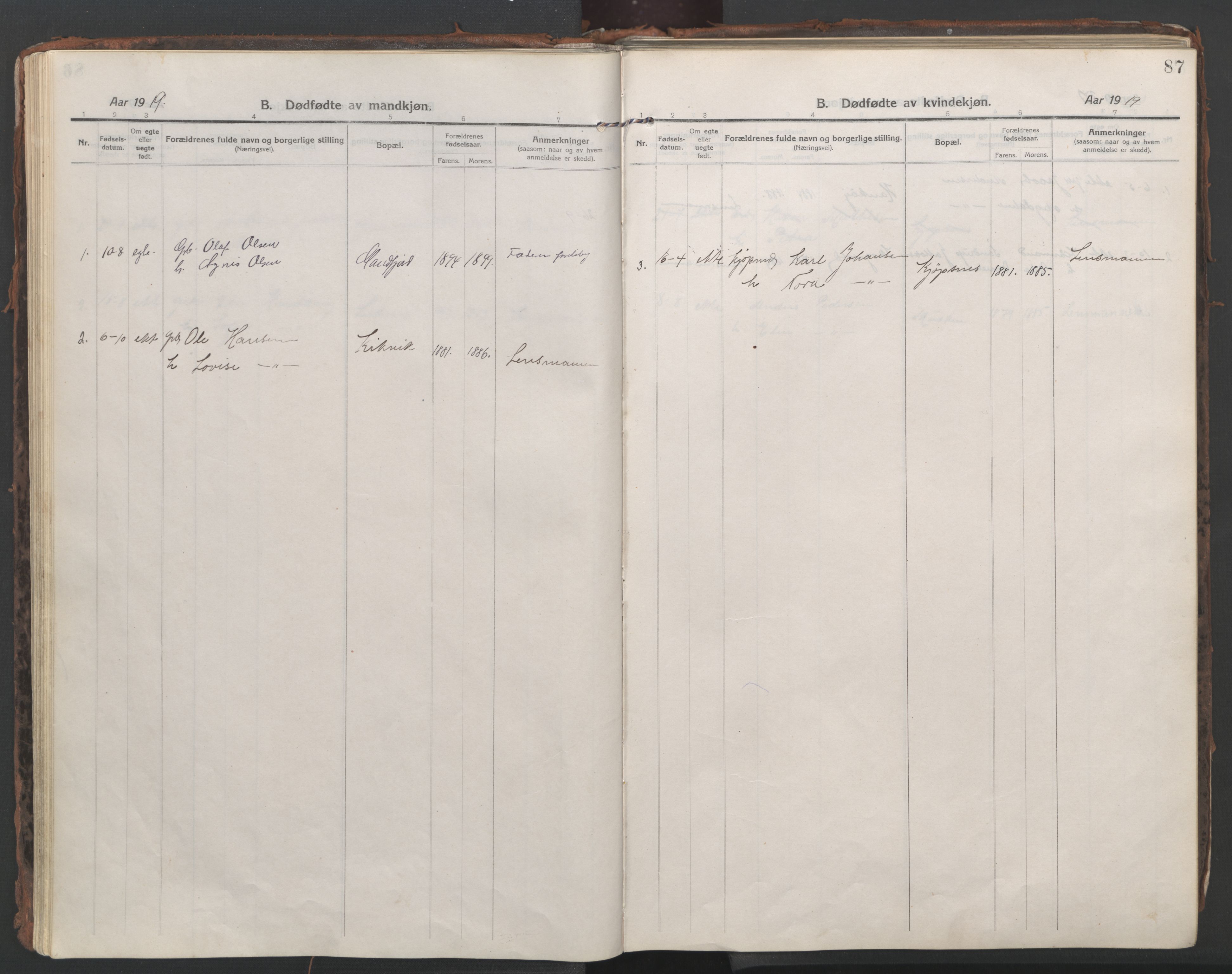 Ministerialprotokoller, klokkerbøker og fødselsregistre - Nordland, AV/SAT-A-1459/861/L0872: Parish register (official) no. 861A07, 1915-1924, p. 87