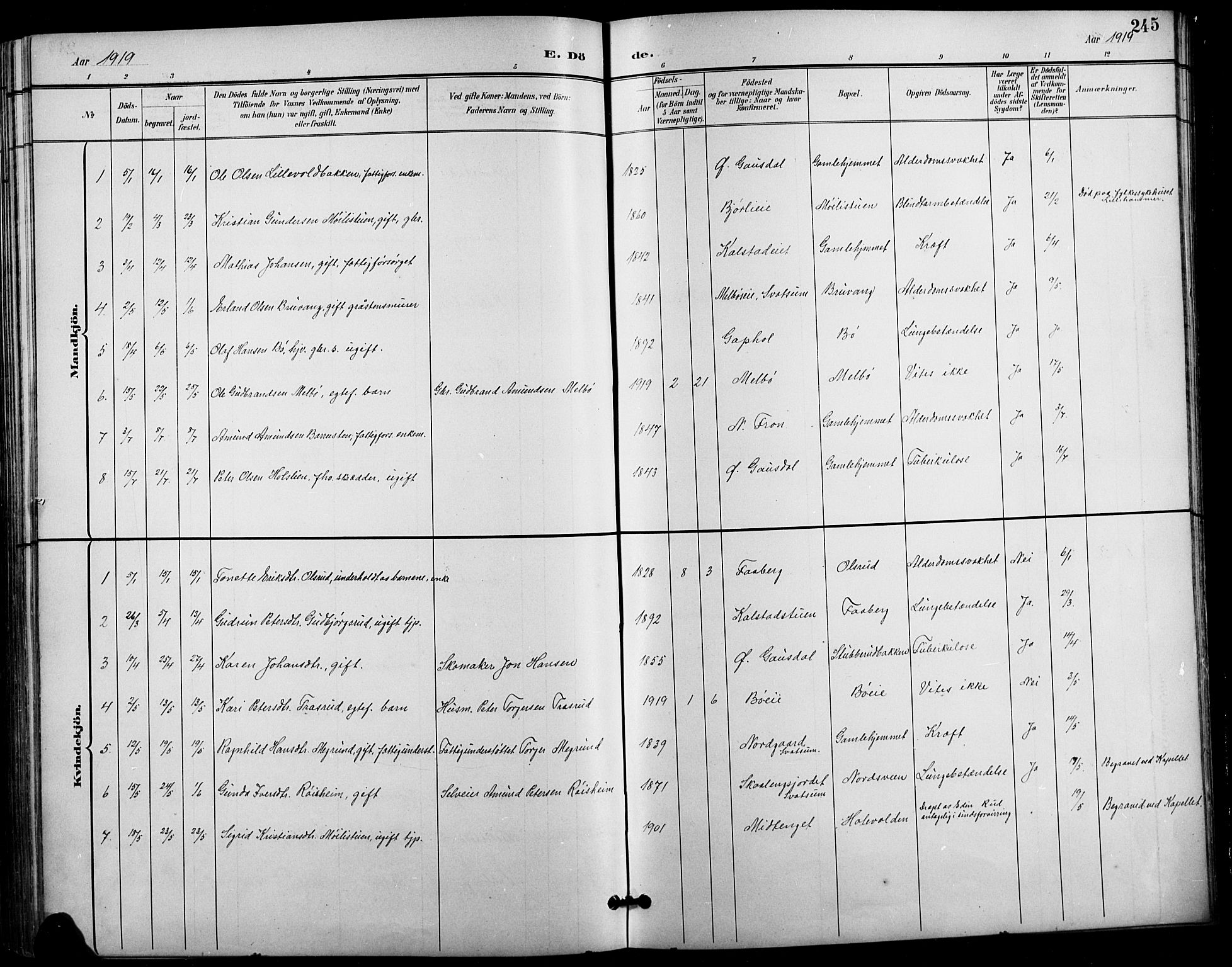Vestre Gausdal prestekontor, SAH/PREST-094/H/Ha/Hab/L0003: Parish register (copy) no. 3, 1896-1925, p. 245