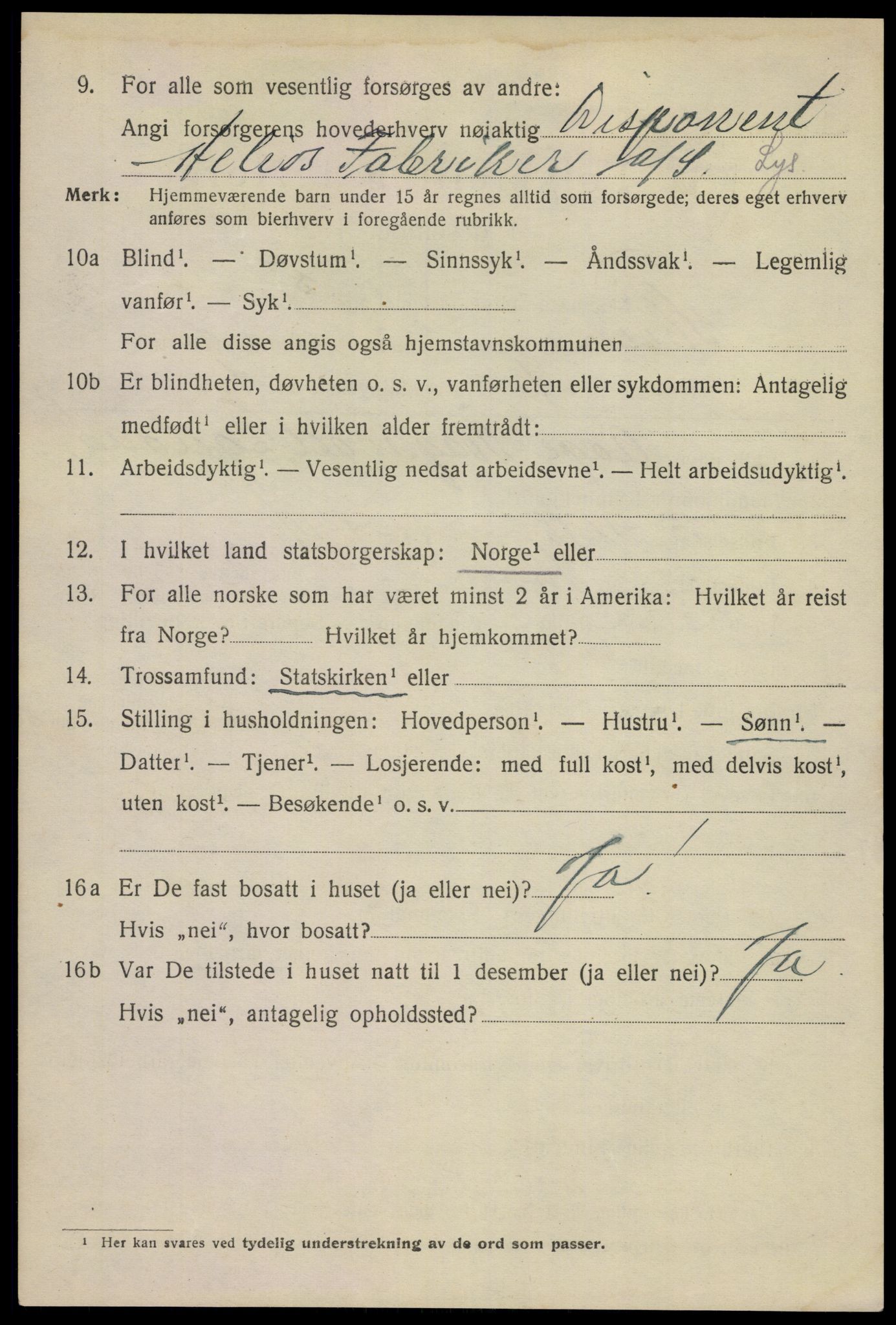 SAKO, 1920 census for Skien, 1920, p. 21221