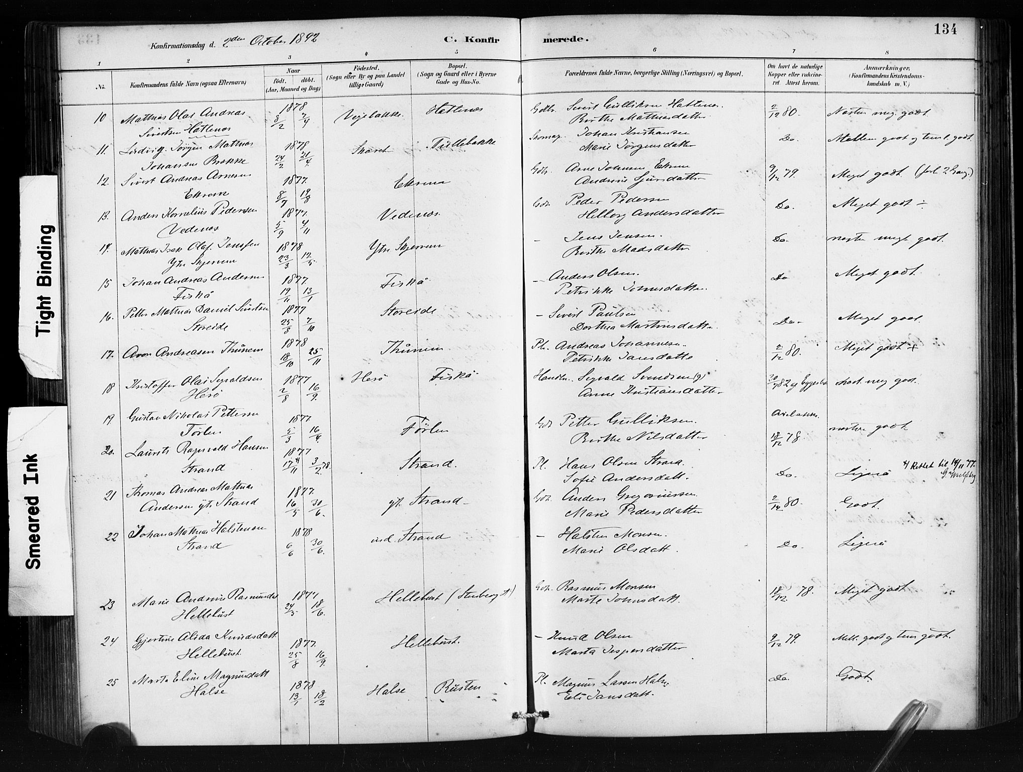 Ministerialprotokoller, klokkerbøker og fødselsregistre - Møre og Romsdal, AV/SAT-A-1454/501/L0008: Parish register (official) no. 501A08, 1885-1901, p. 134