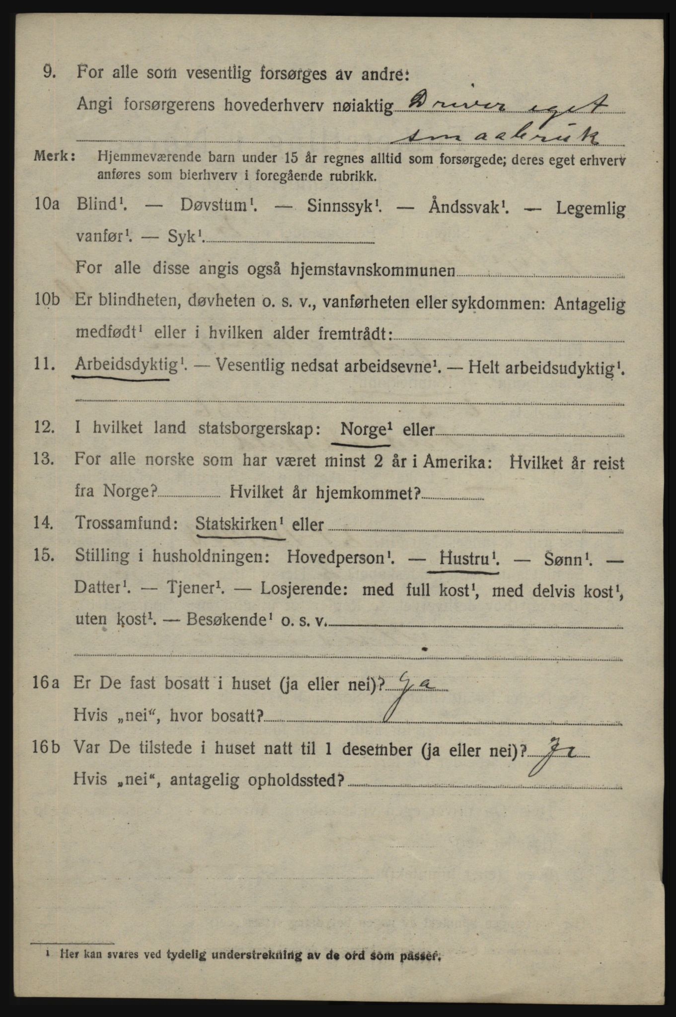 SAO, 1920 census for Skjeberg, 1920, p. 6602