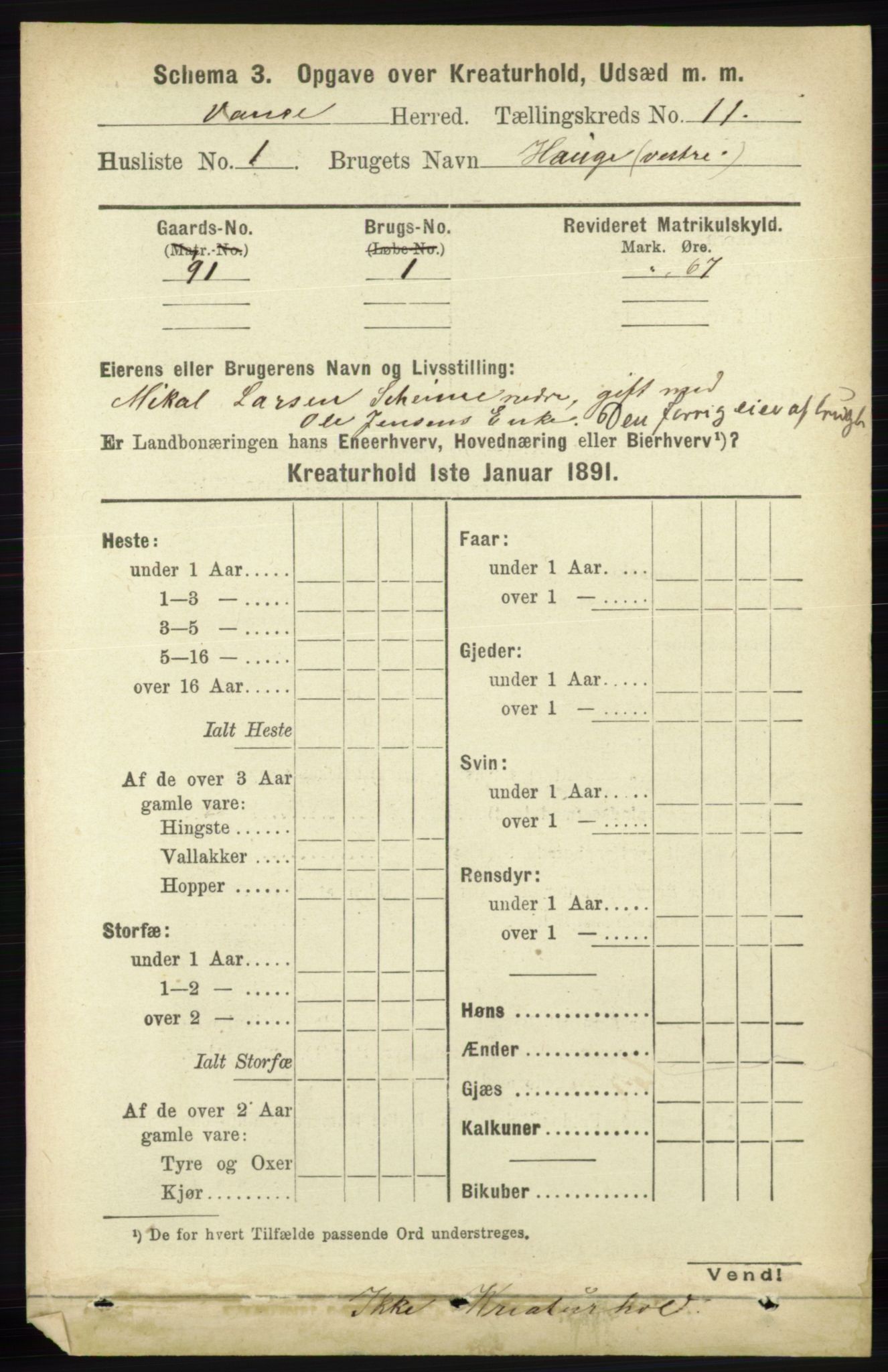 RA, 1891 census for 1041 Vanse, 1891, p. 9871