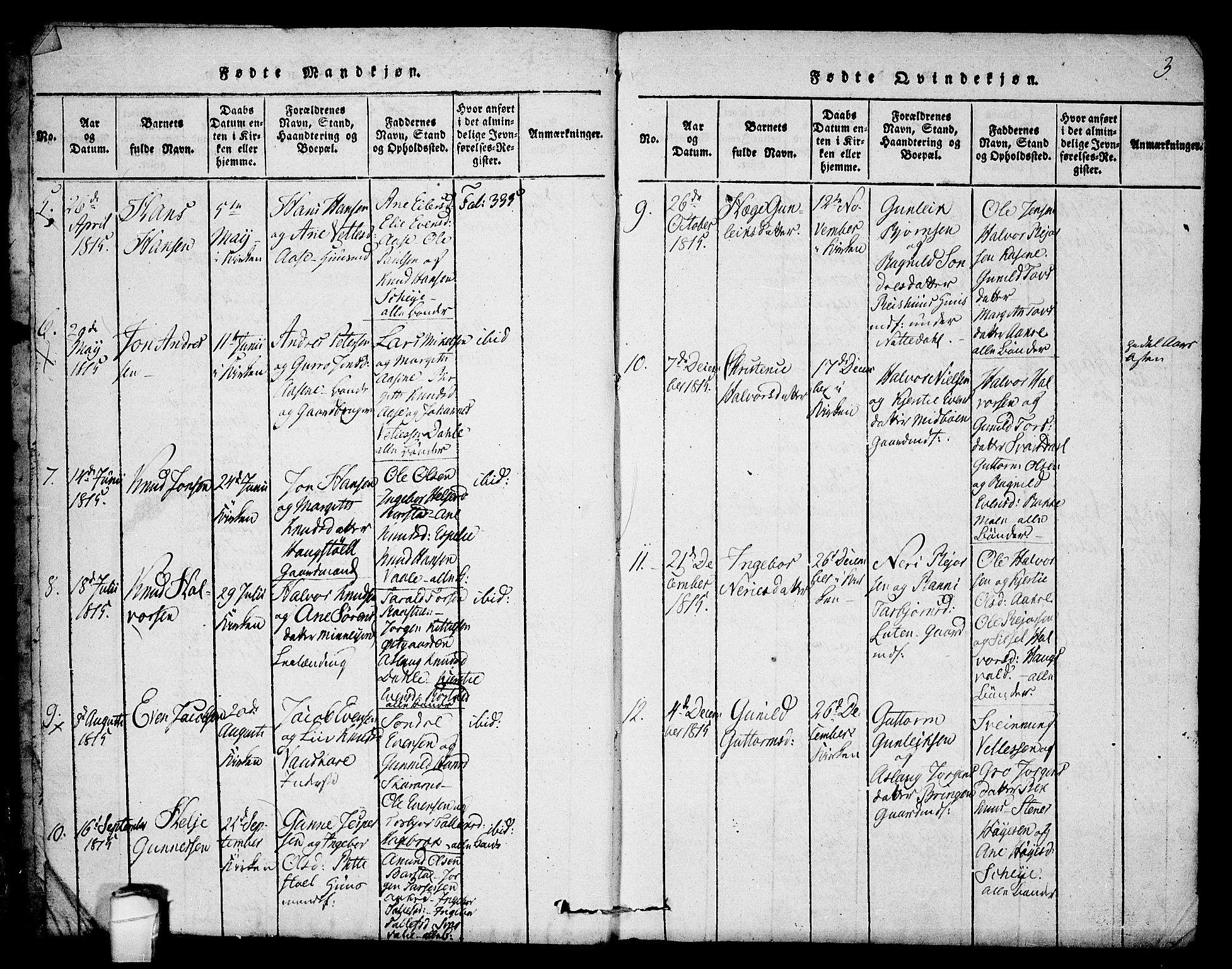 Seljord kirkebøker, SAKO/A-20/F/Fb/L0001: Parish register (official) no. II 1, 1815-1831, p. 3