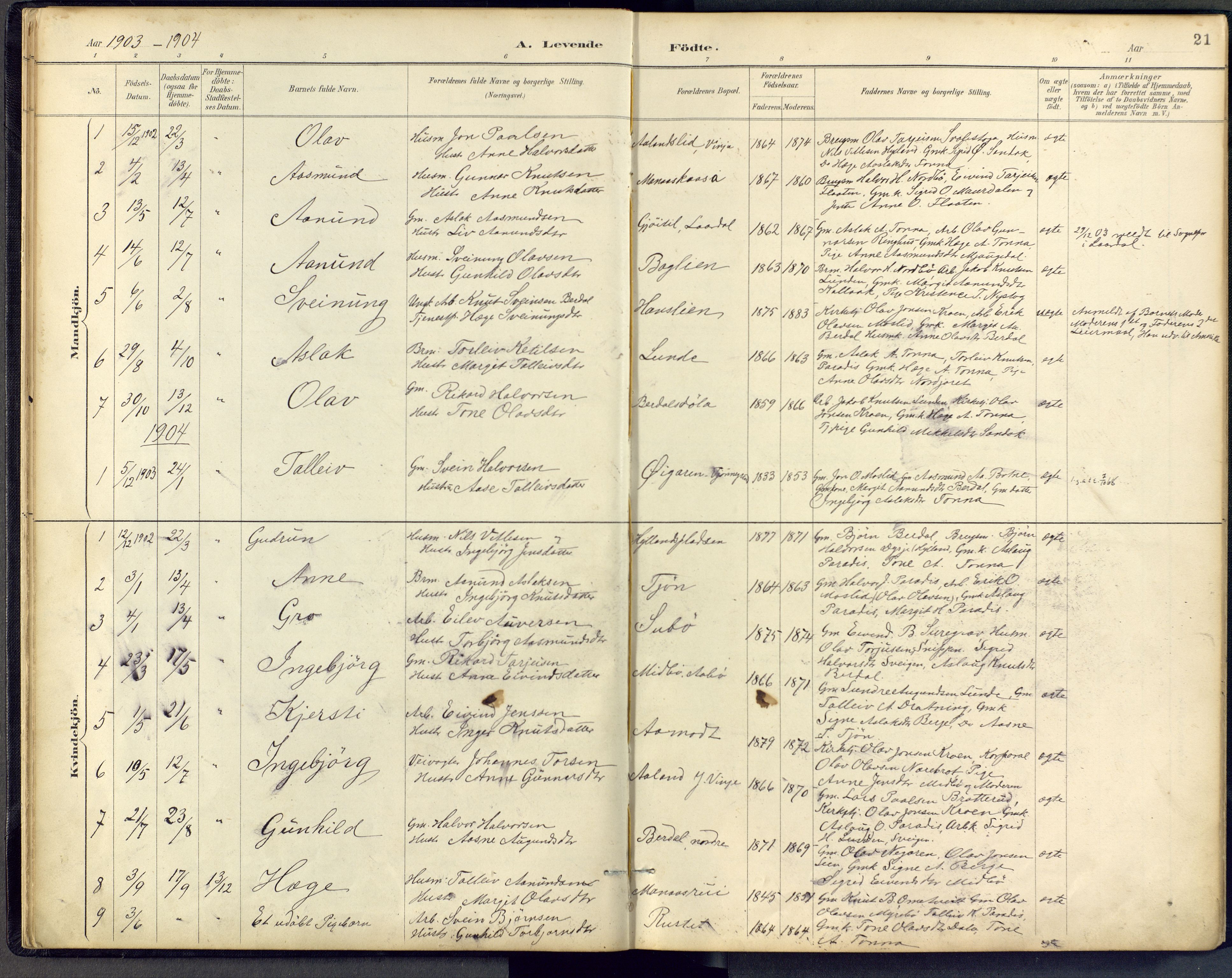 Vinje kirkebøker, SAKO/A-312/F/Fb/L0002: Parish register (official) no. II 2, 1887-1925, p. 21