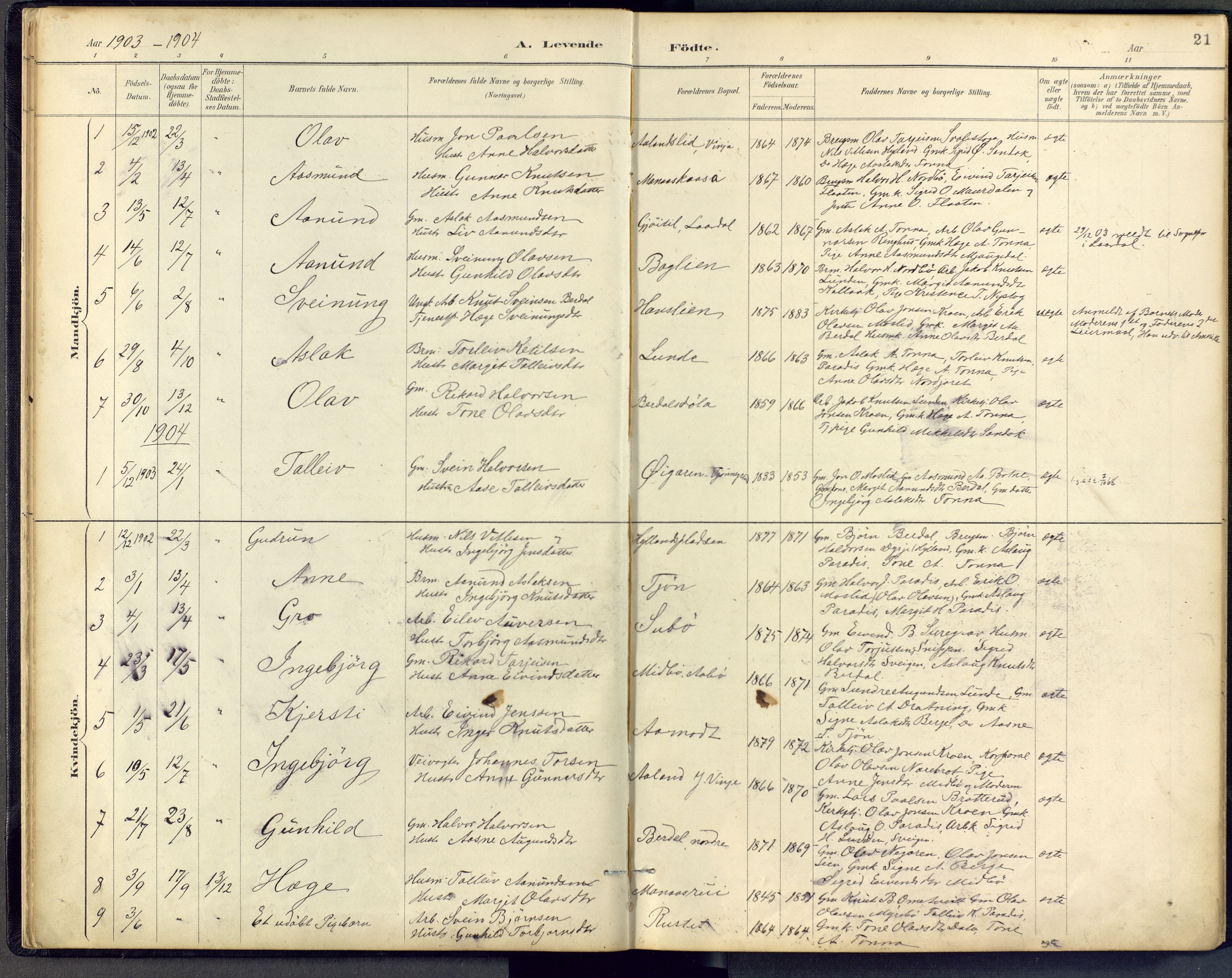 Vinje kirkebøker, AV/SAKO-A-312/F/Fb/L0002: Parish register (official) no. II 2, 1887-1925, p. 21