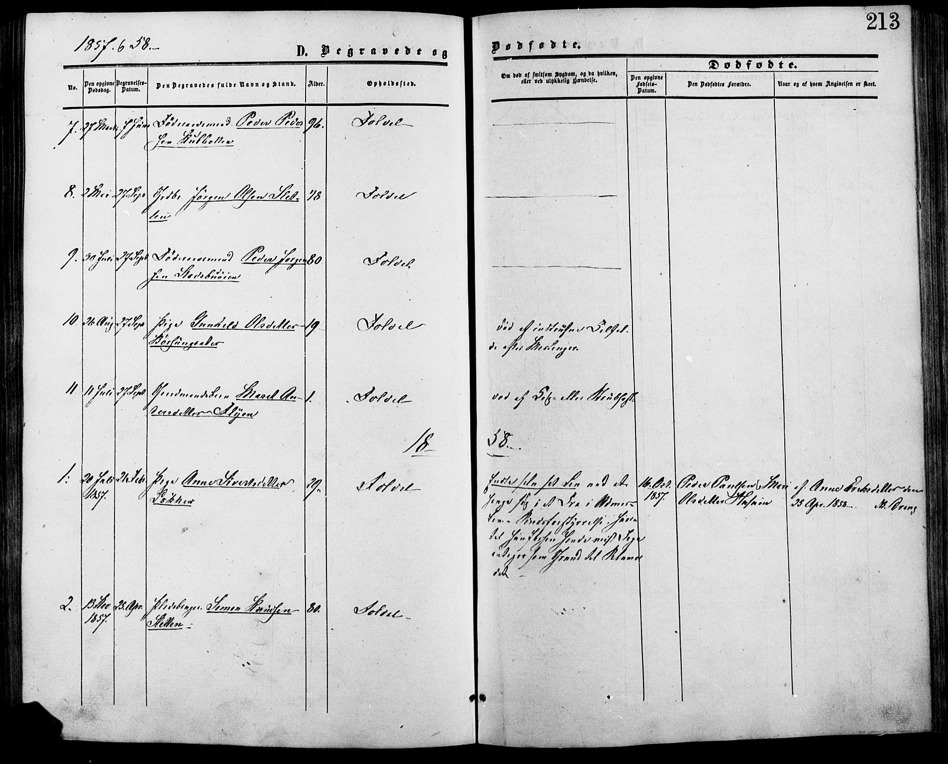 Lesja prestekontor, SAH/PREST-068/H/Ha/Haa/L0007: Parish register (official) no. 7, 1854-1862, p. 213