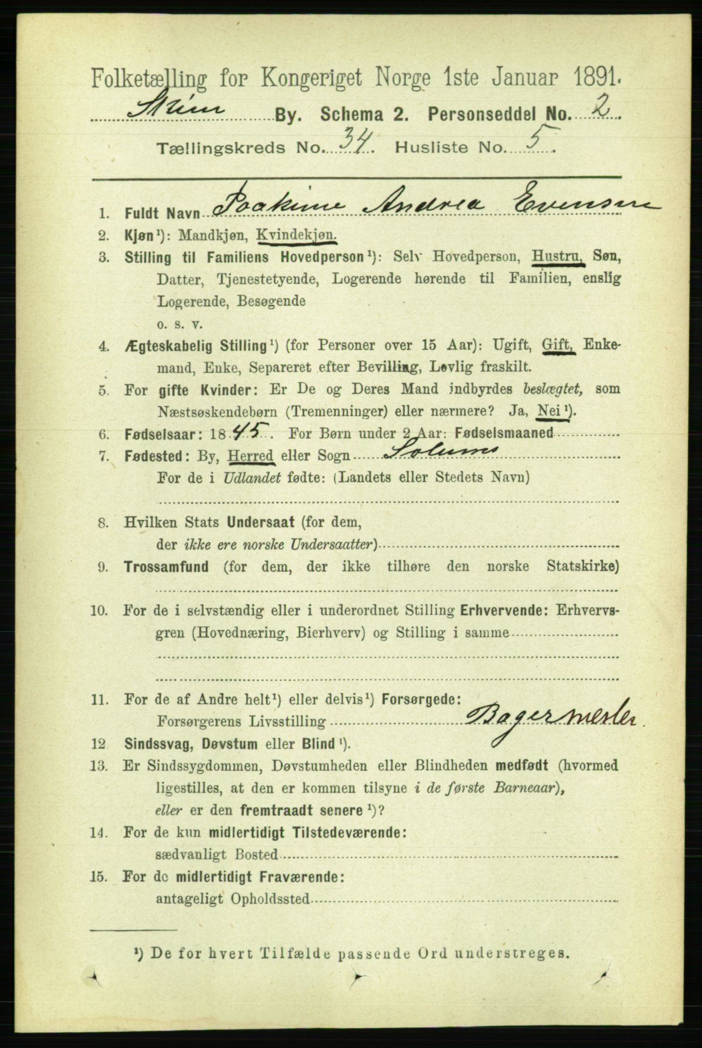 RA, 1891 census for 0806 Skien, 1891, p. 7766