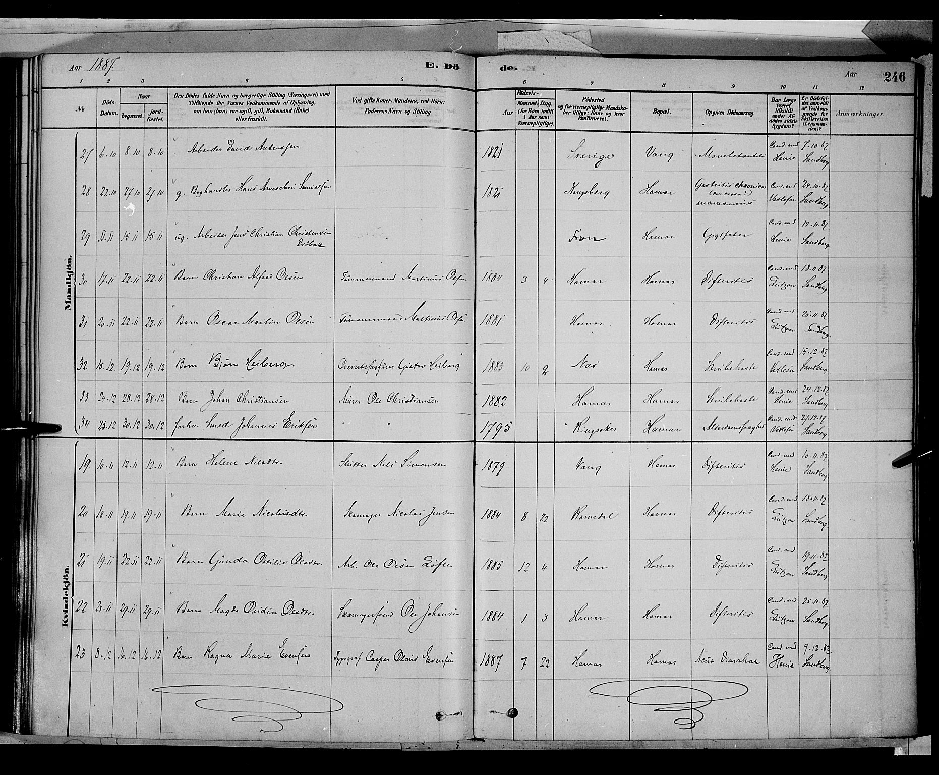 Vang prestekontor, Hedmark, AV/SAH-PREST-008/H/Ha/Haa/L0016: Parish register (official) no. 16, 1878-1889, p. 246