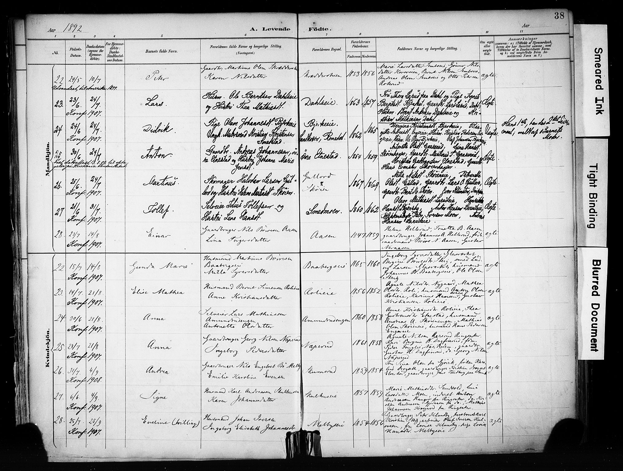 Biri prestekontor, SAH/PREST-096/H/Ha/Haa/L0009: Parish register (official) no. 9, 1887-1900, p. 38