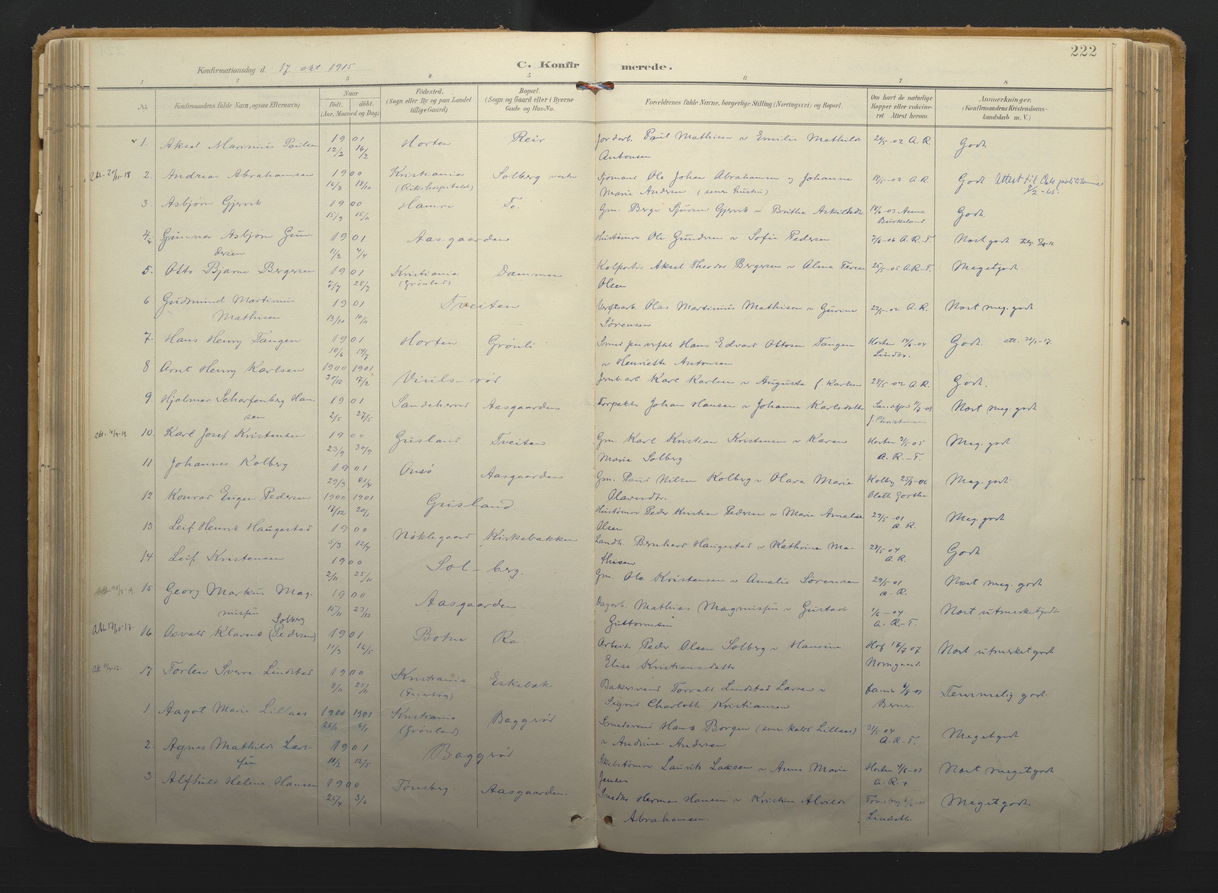 Borre kirkebøker, AV/SAKO-A-338/F/Fa/L0011: Parish register (official) no. I 11, 1897-1921, p. 222