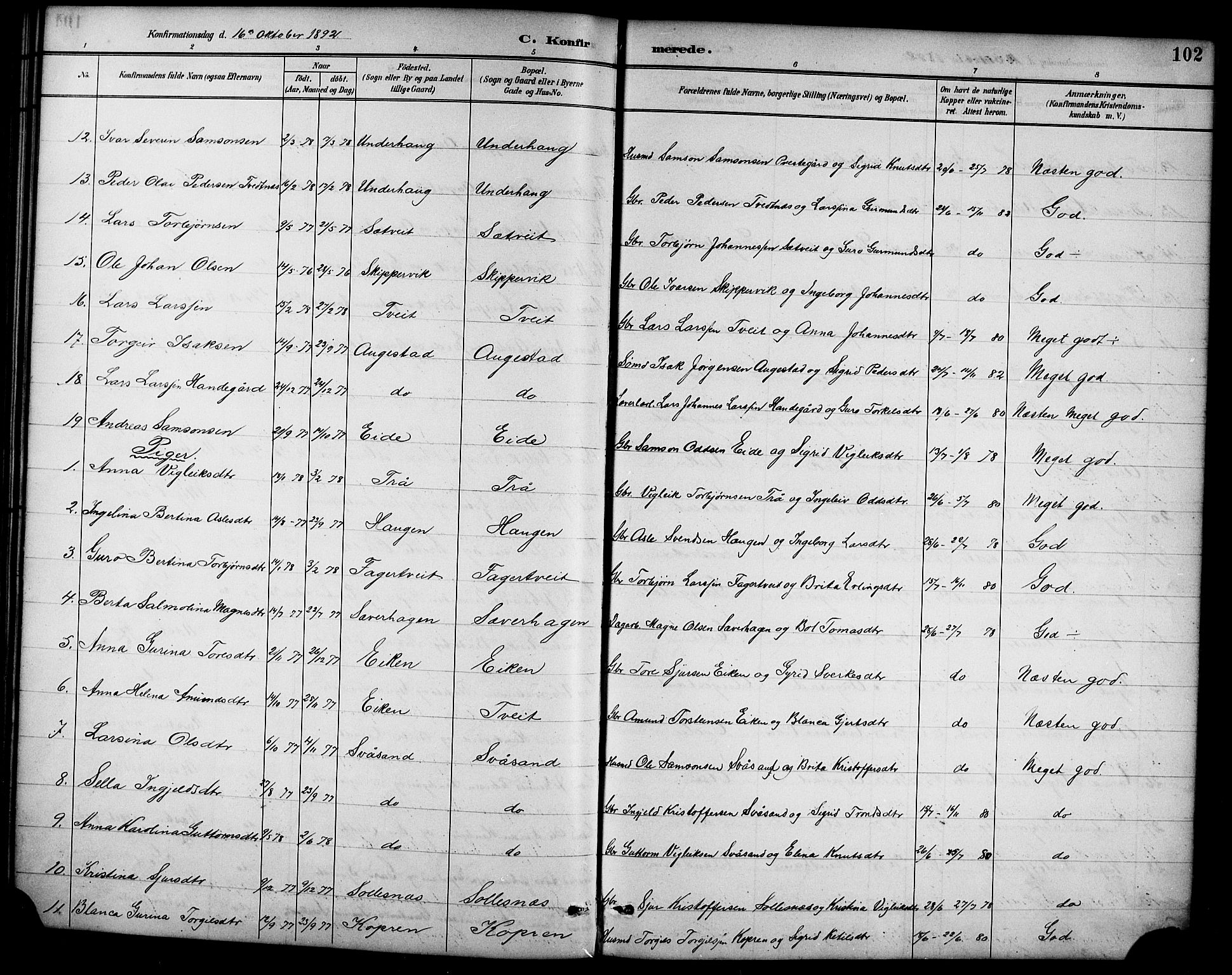 Ullensvang sokneprestembete, AV/SAB-A-78701/H/Hab: Parish register (copy) no. D 1, 1891-1908, p. 102