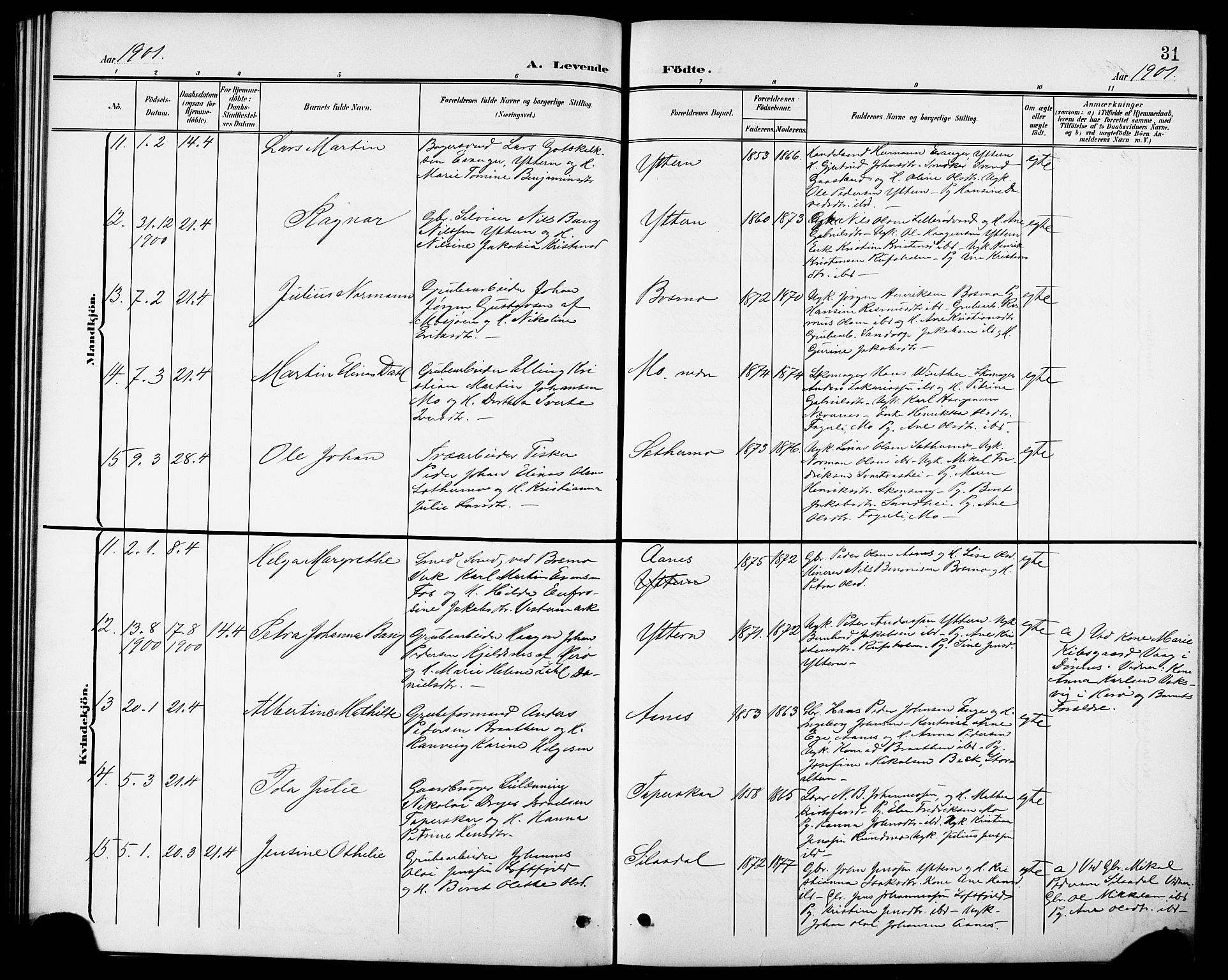 Ministerialprotokoller, klokkerbøker og fødselsregistre - Nordland, AV/SAT-A-1459/827/L0422: Parish register (copy) no. 827C11, 1899-1912, p. 31